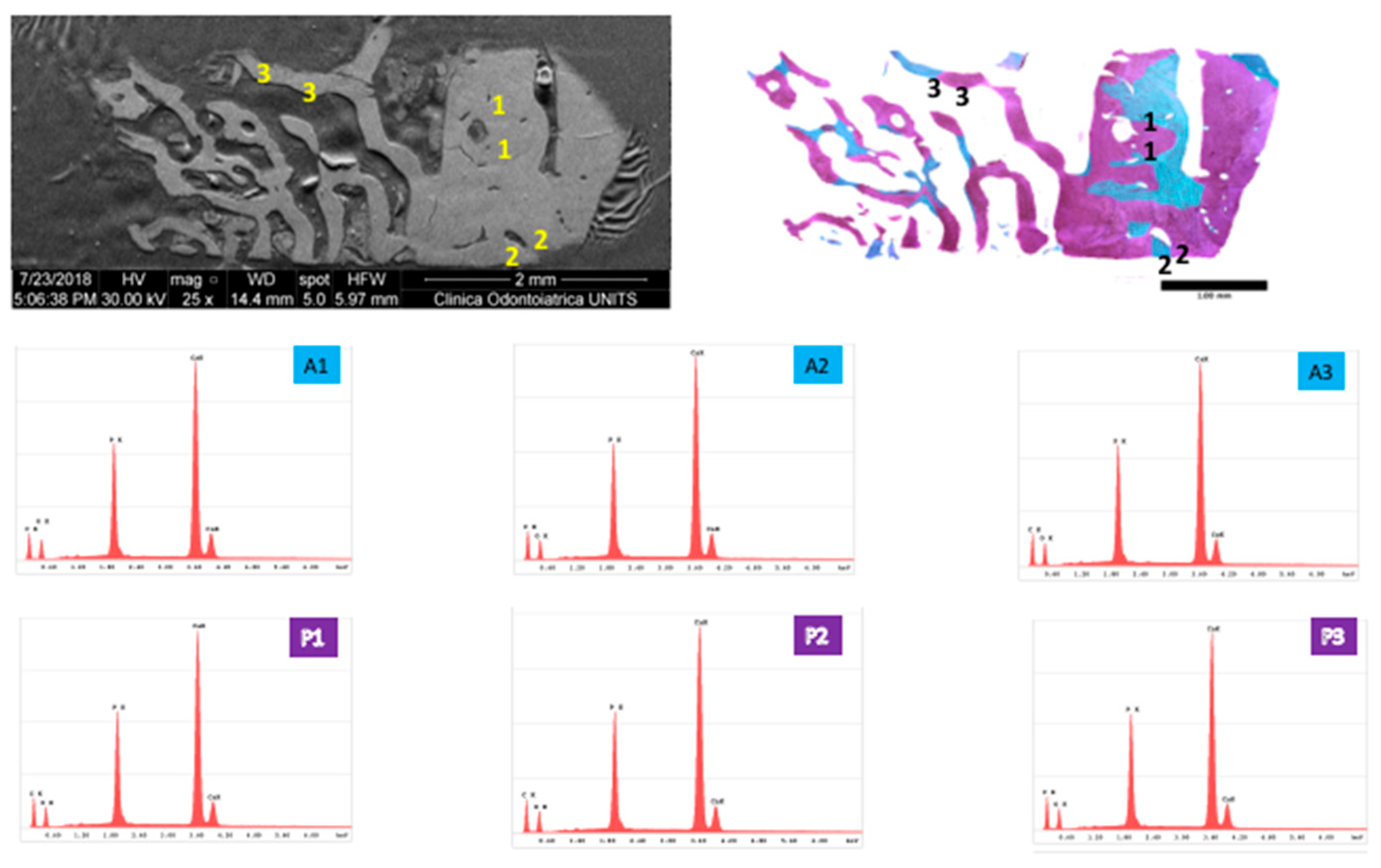 Applsci 09 01119 g007 Applsci 09 01119 g007