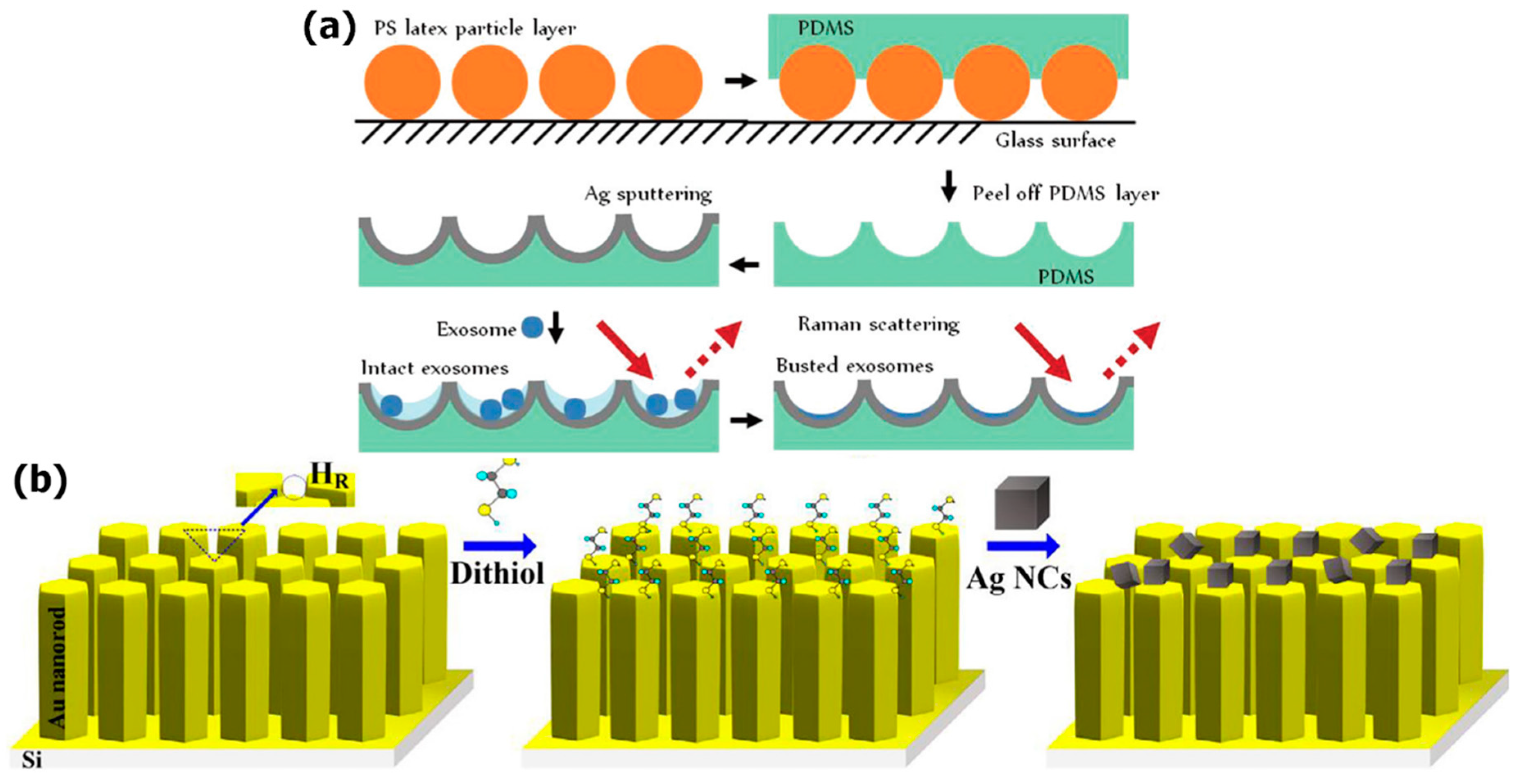 Applsci 09 01135 g001