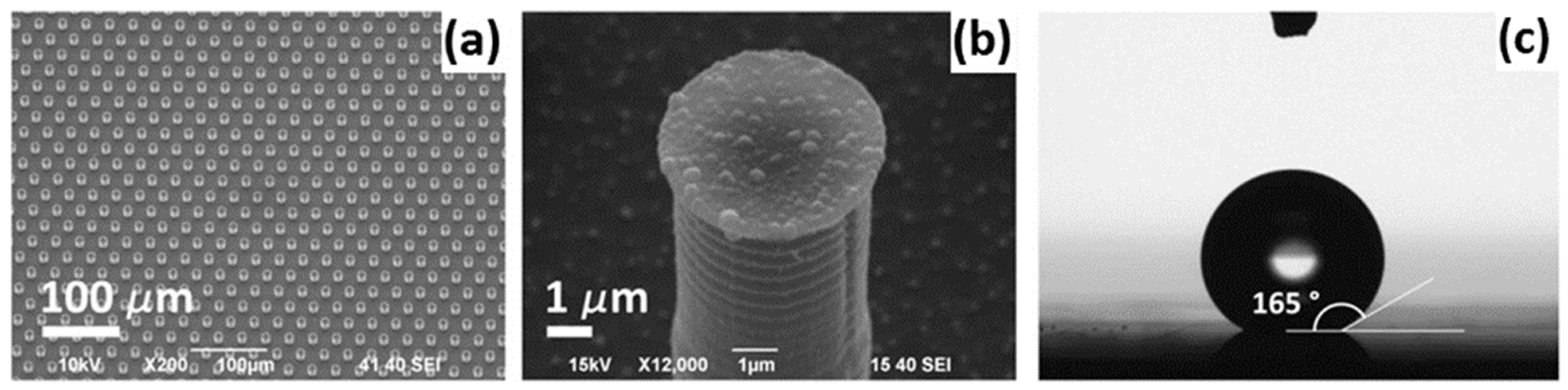 Applsci 09 01135 g002