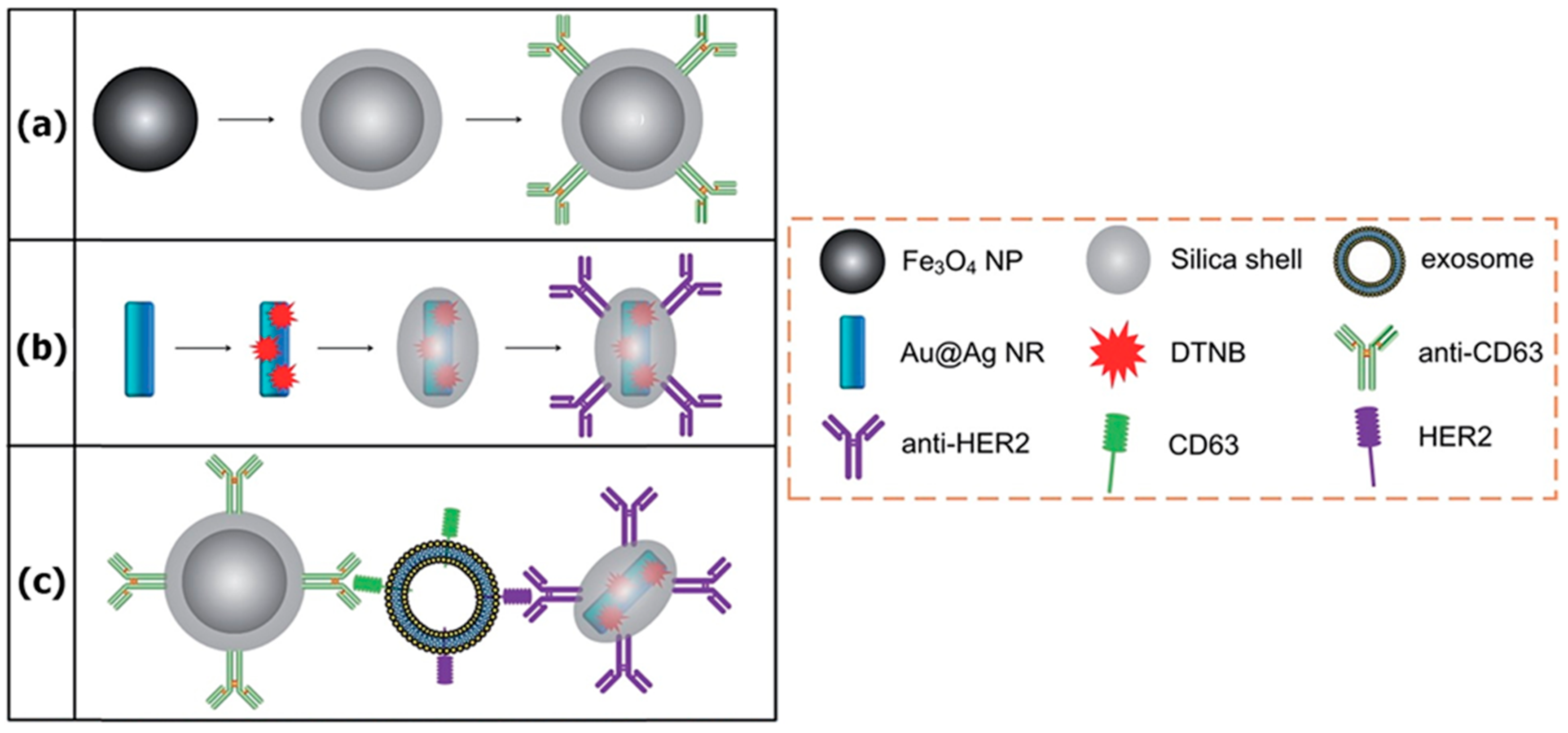 Applsci 09 01135 g007