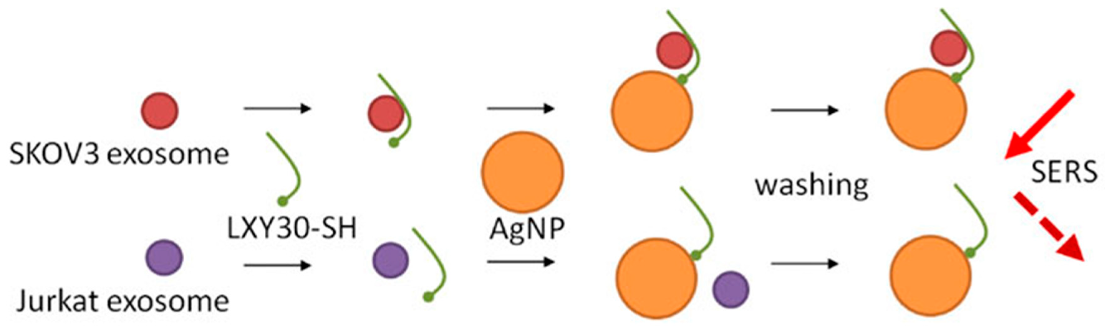 Applsci 09 01135 g008