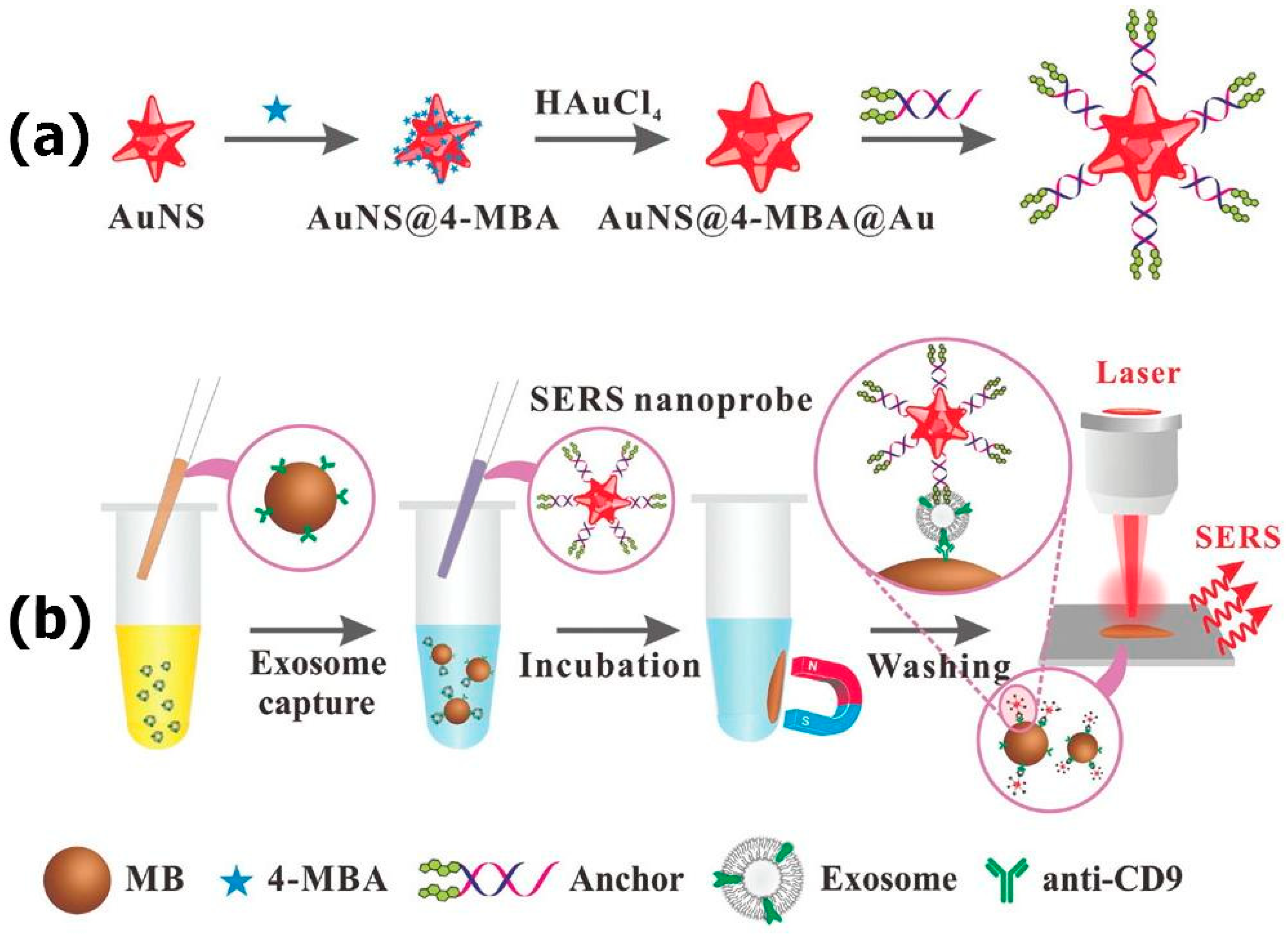 Applsci 09 01135 g009