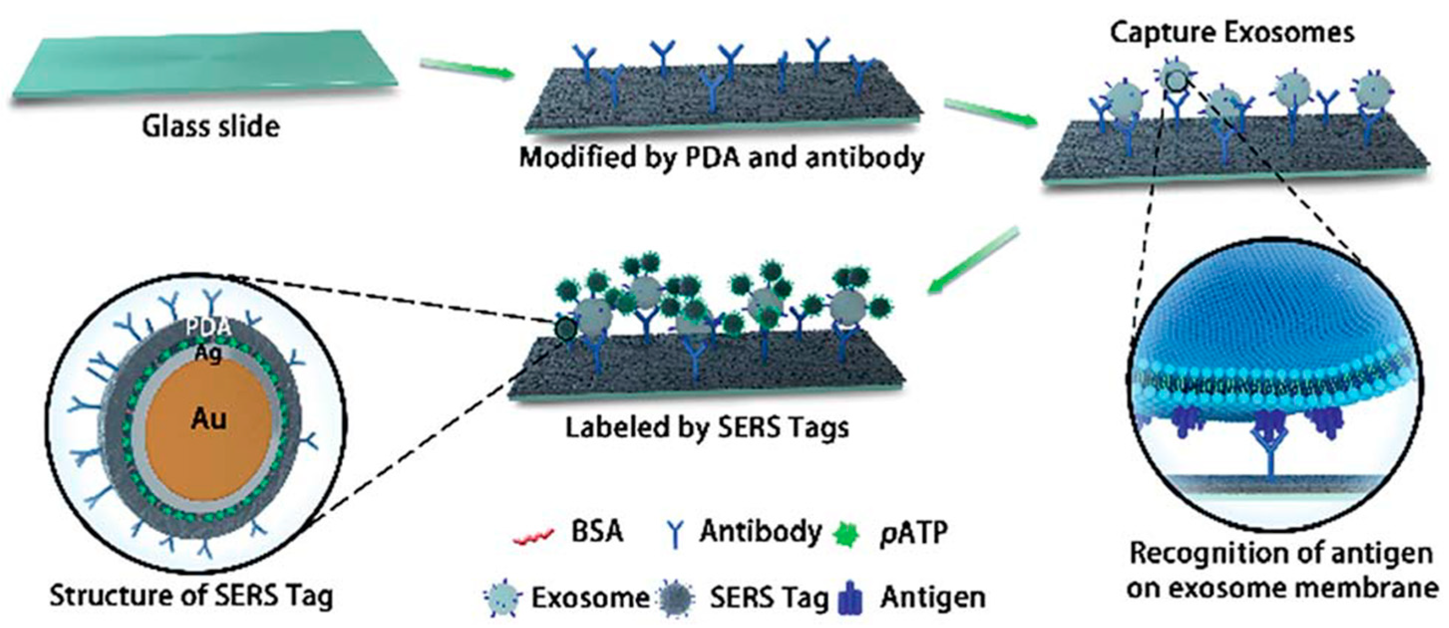 Applsci 09 01135 g012