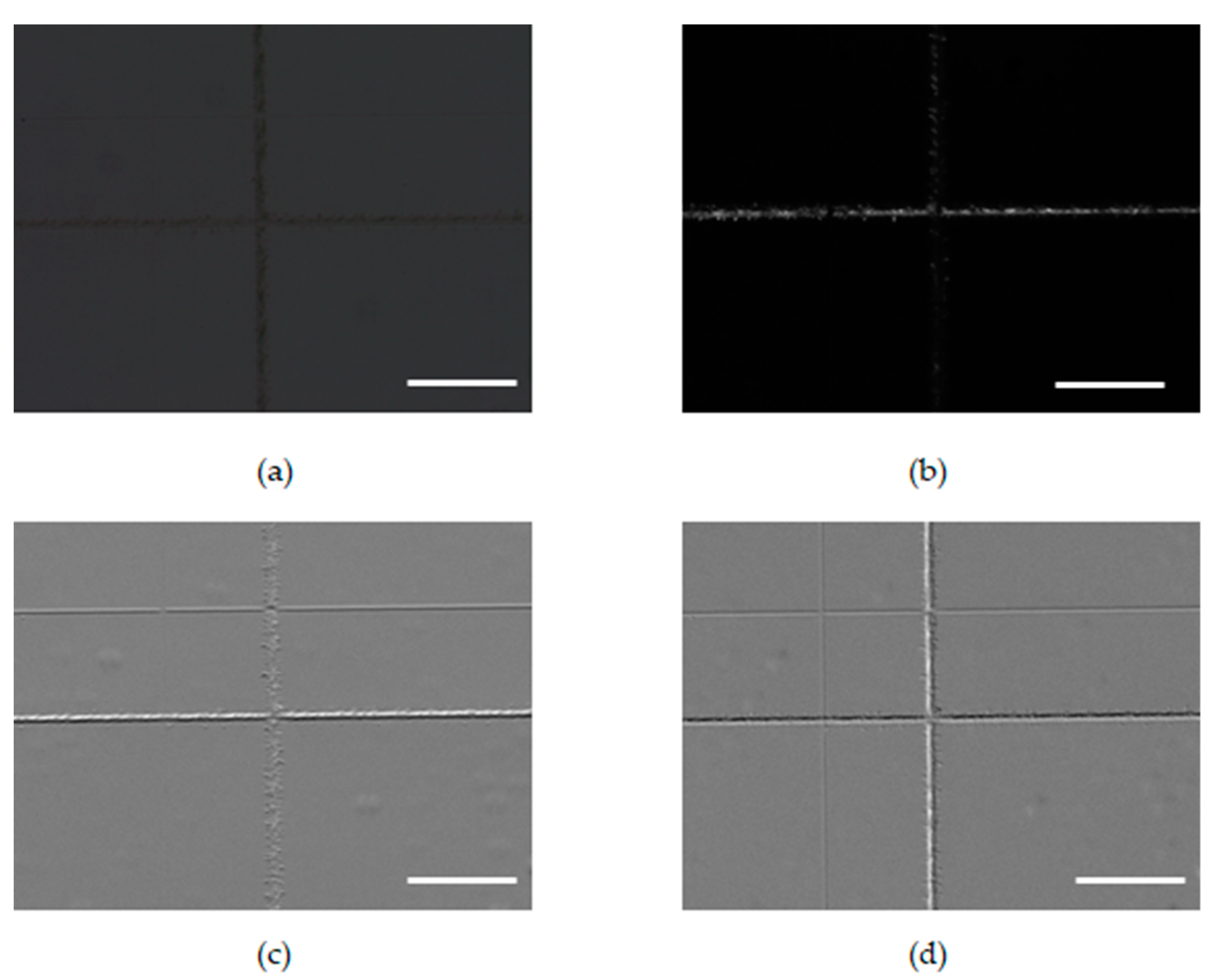 Applsci 09 01136 g005