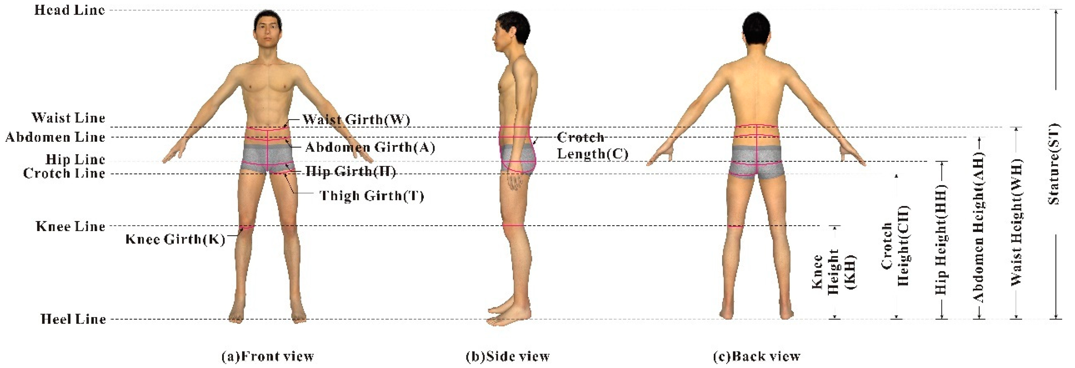 Applied Sciences | Free Full-Text | Estimating Human Body Dimensions