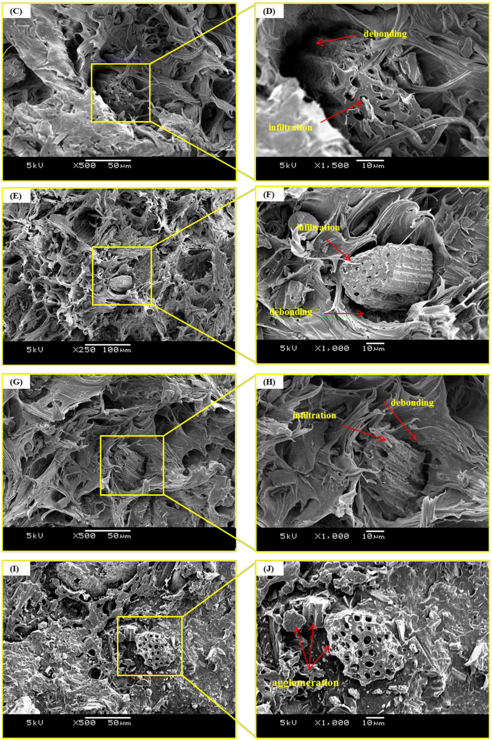 Applsci 09 01149 g004b 550