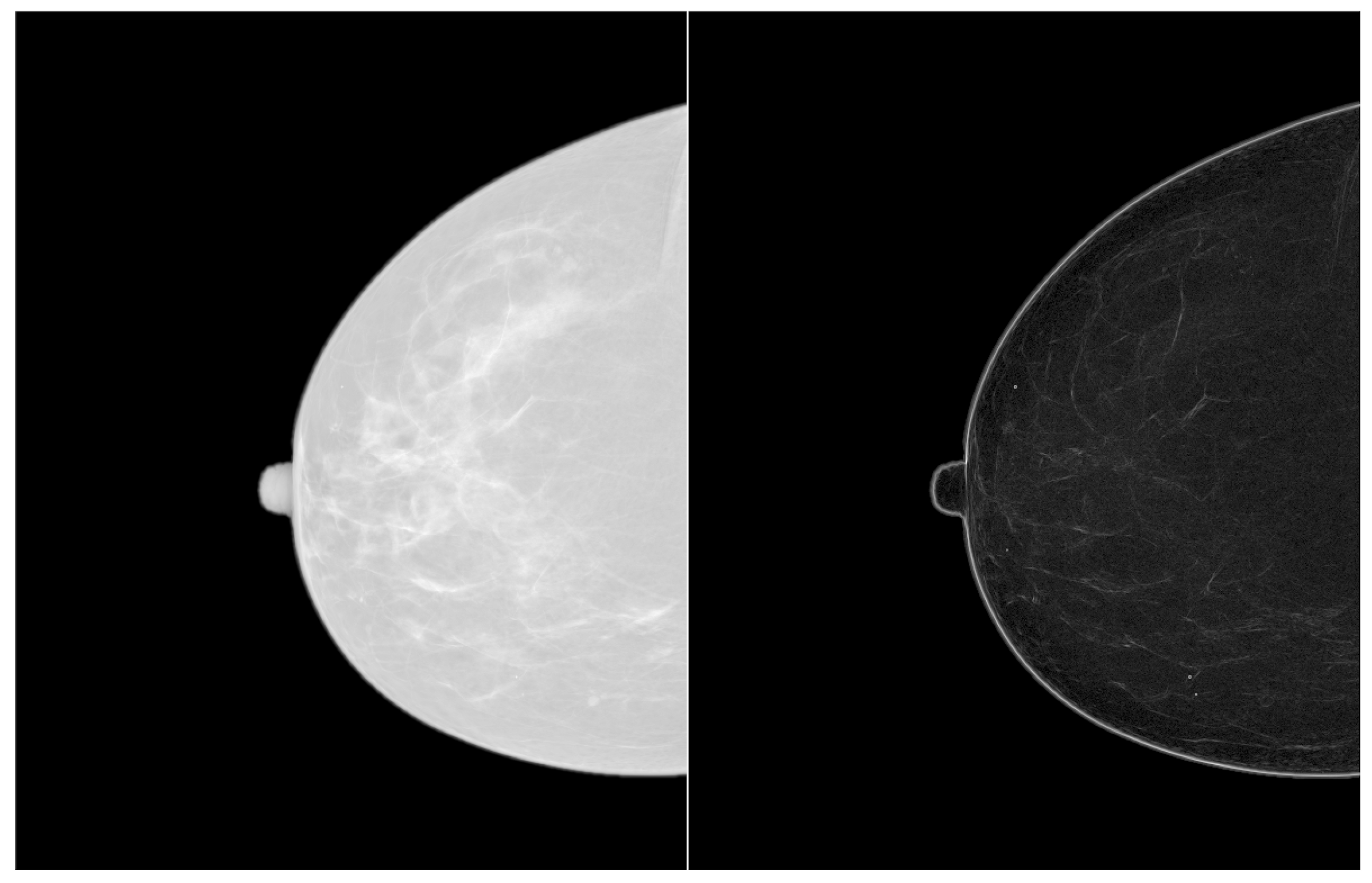 Applsci 09 01194 g005