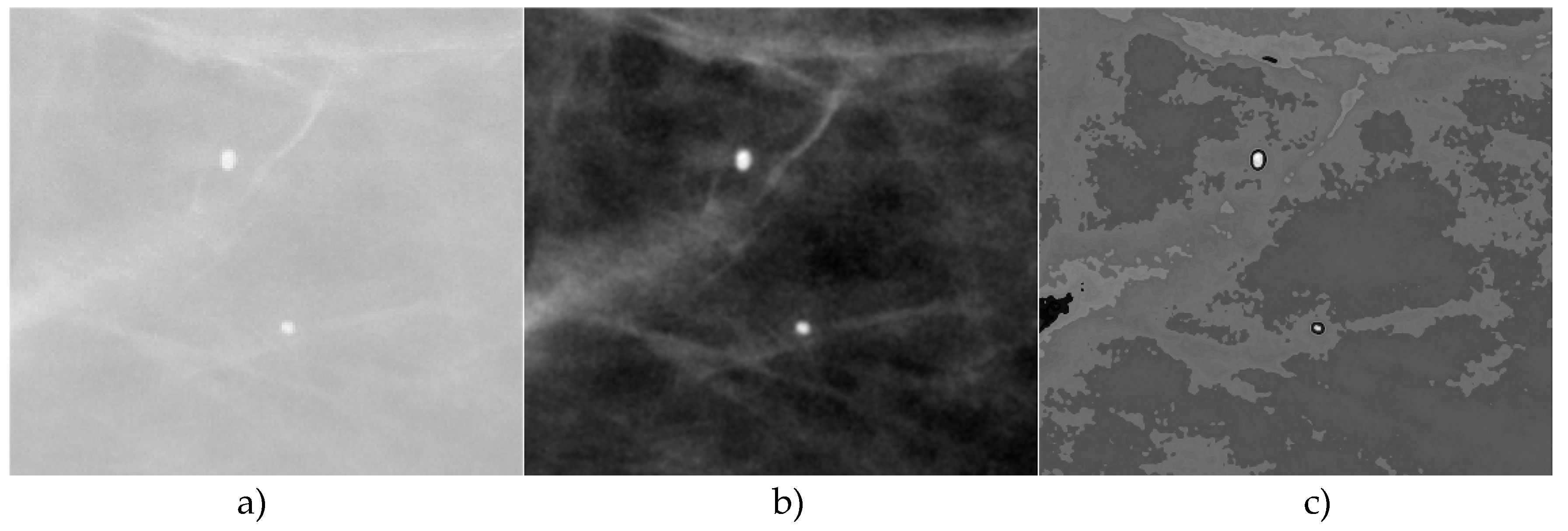 Applsci 09 01194 g007