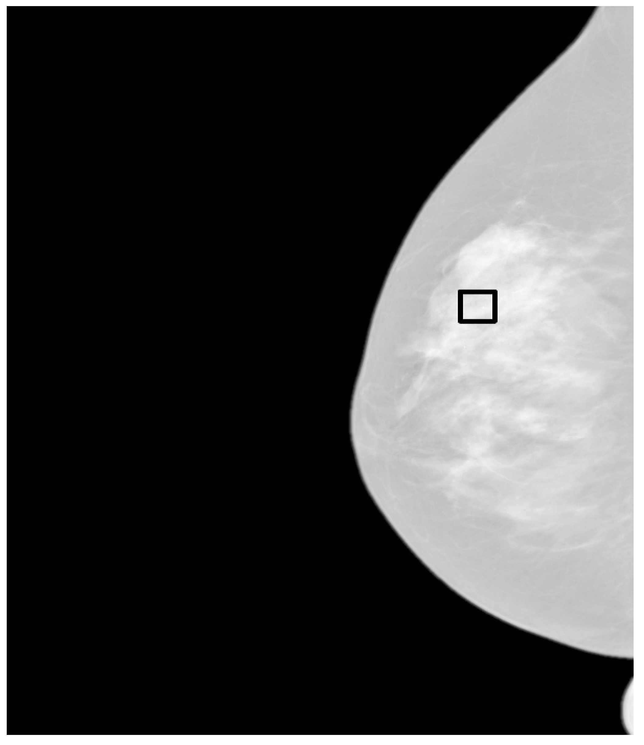 Applsci 09 01194 g013