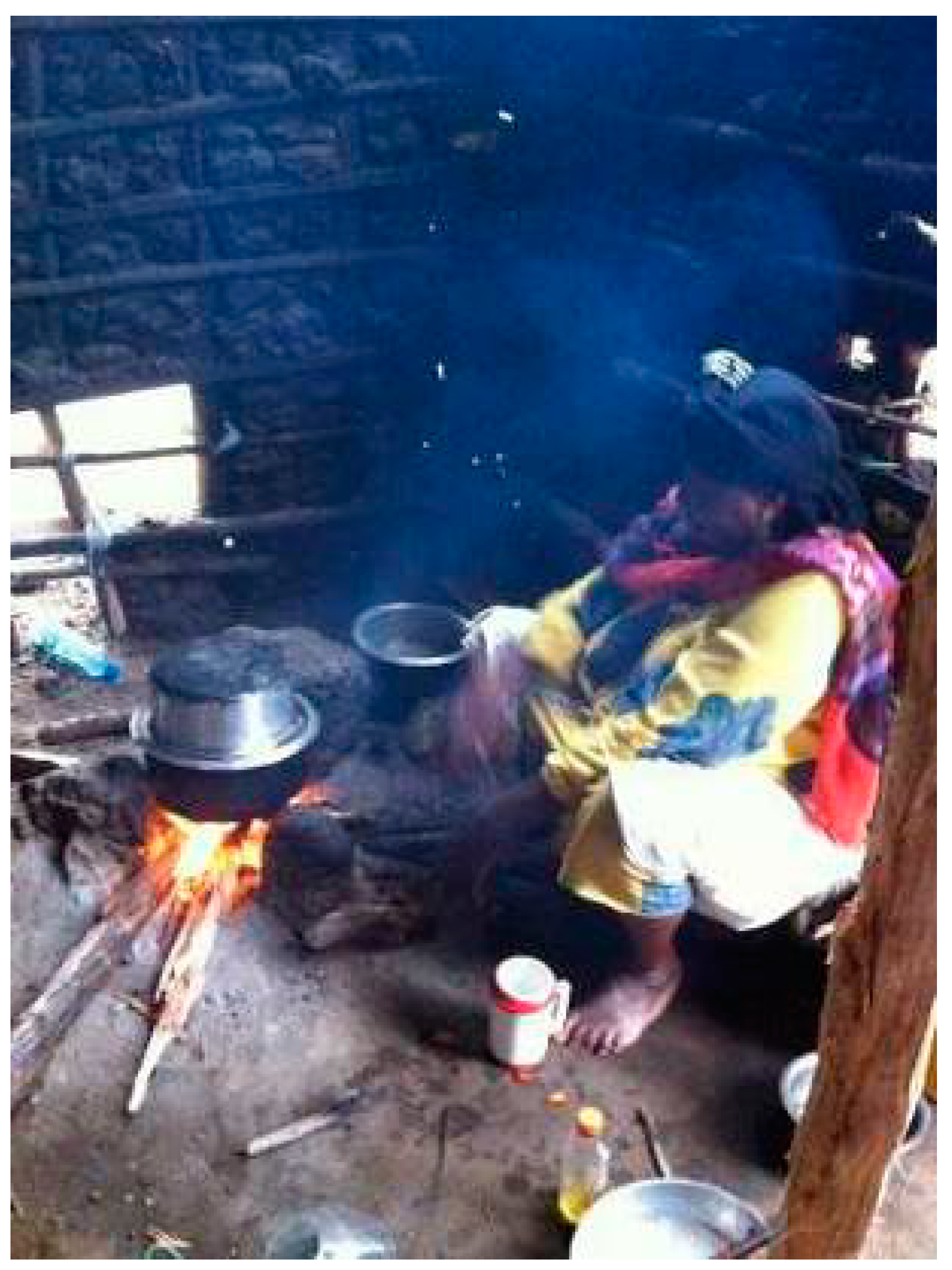 Applsci 09 01205 g004