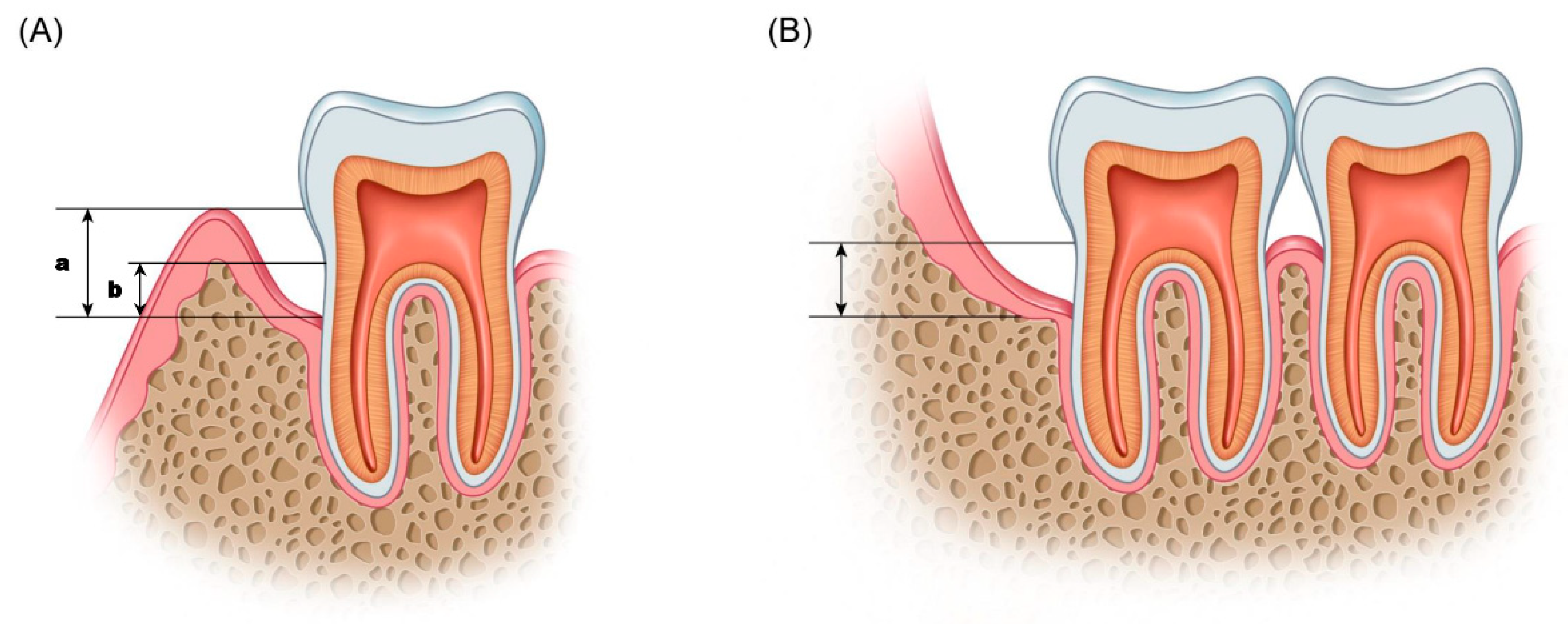 Applsci 09 01208 g001 Applsci 09 01208 g001