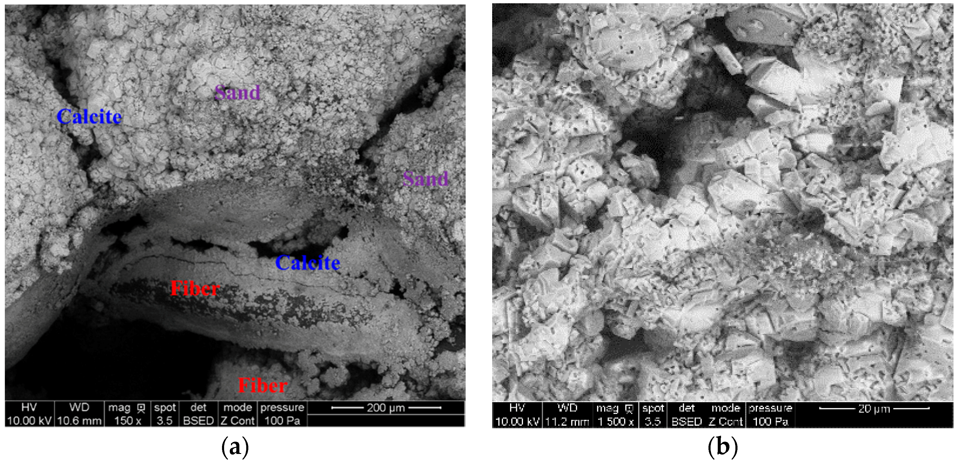 Applsci 09 01214 g008