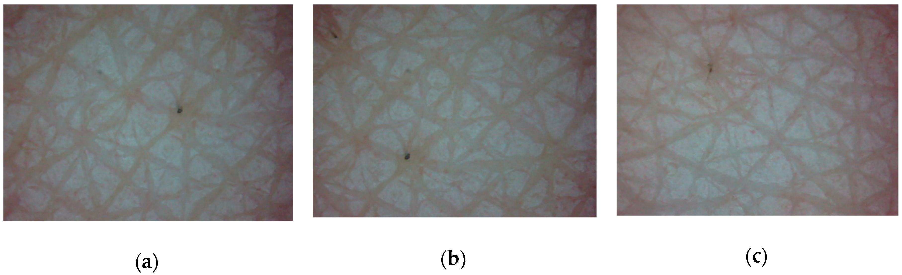 Applsci 09 01228 g010