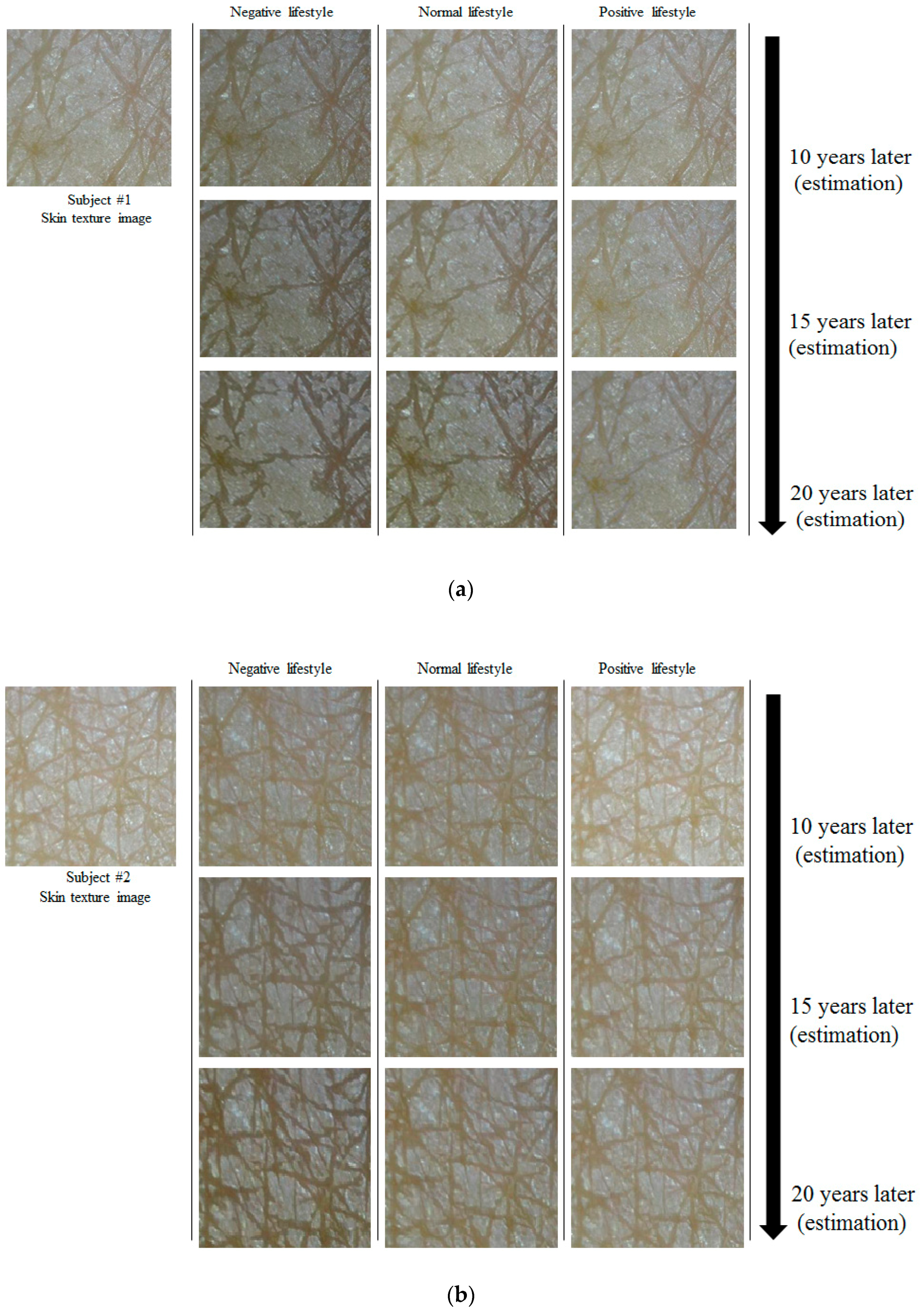 Applsci 09 01228 g015a