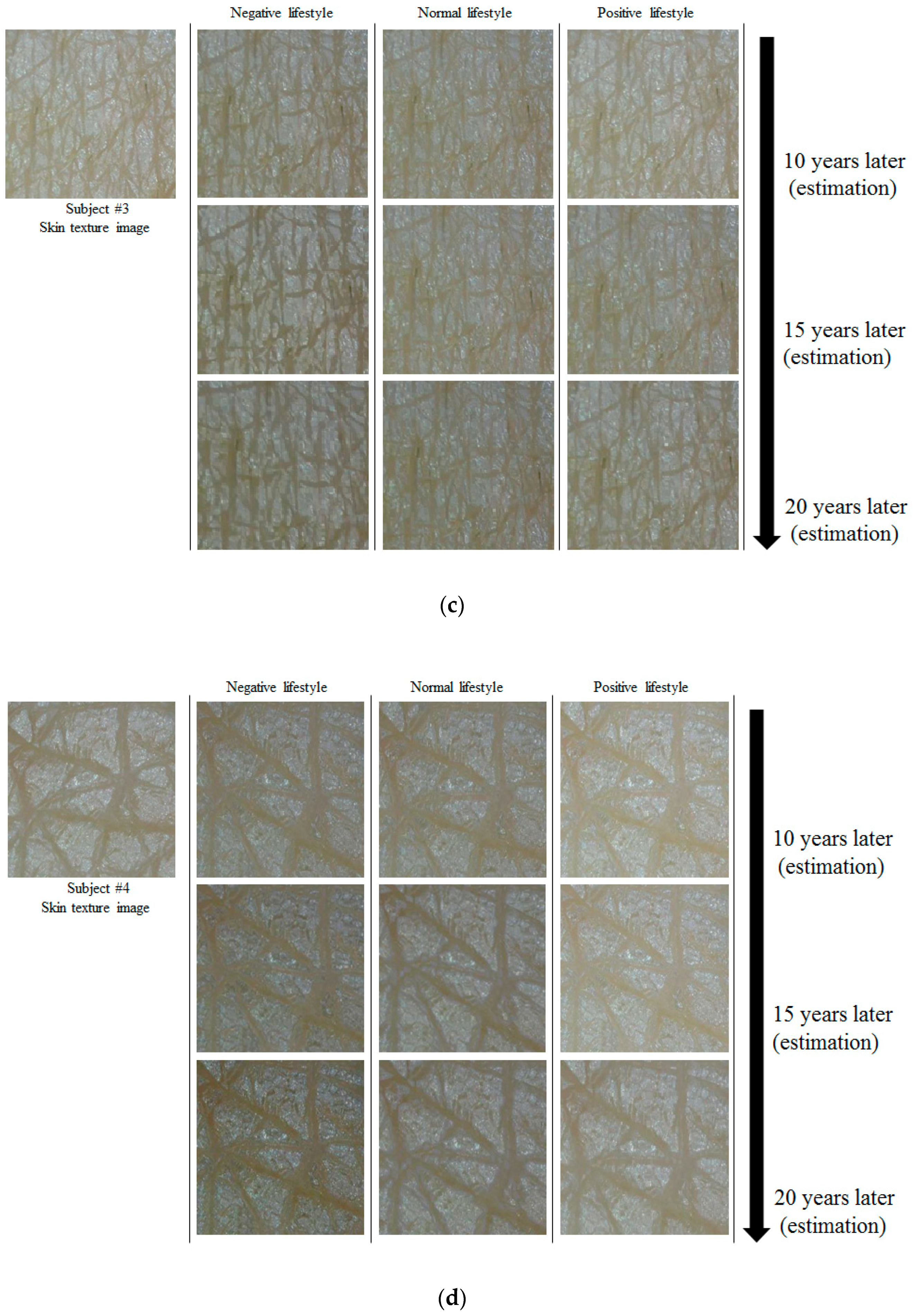 Applsci 09 01228 g015b