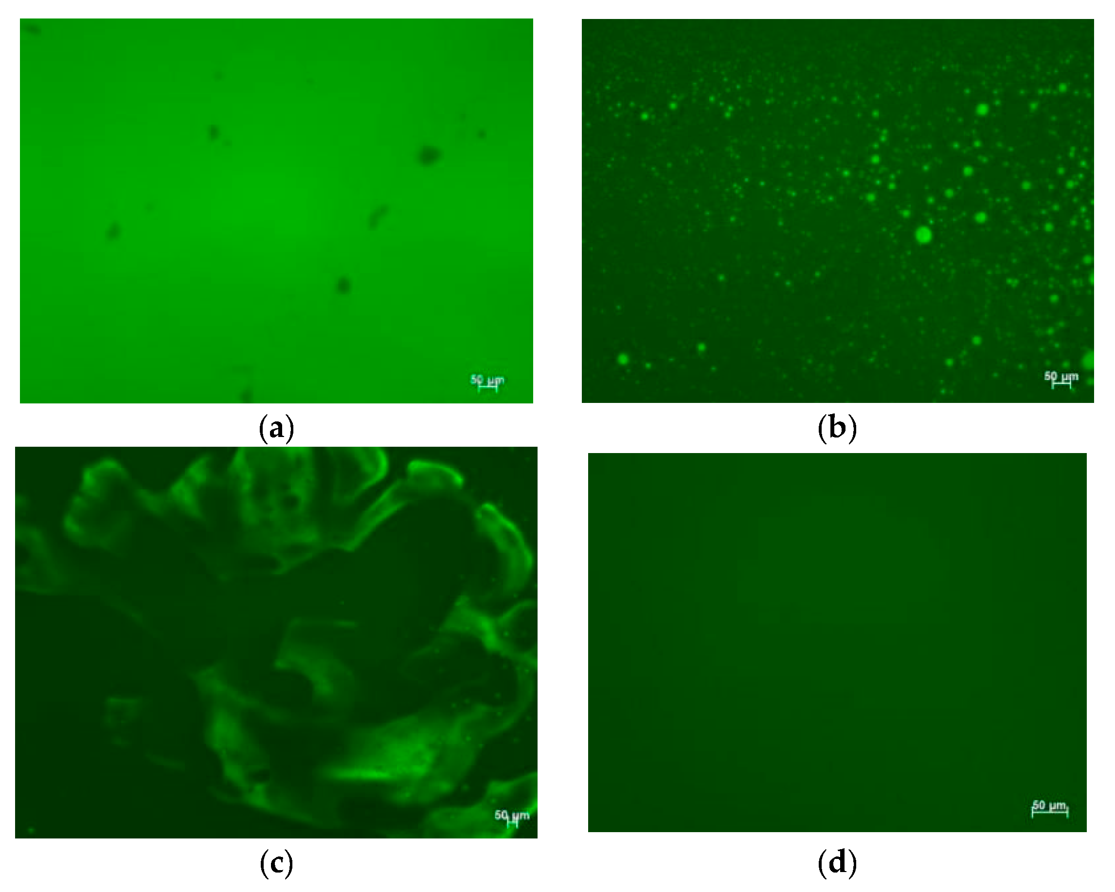 Applsci 09 01242 g006 550