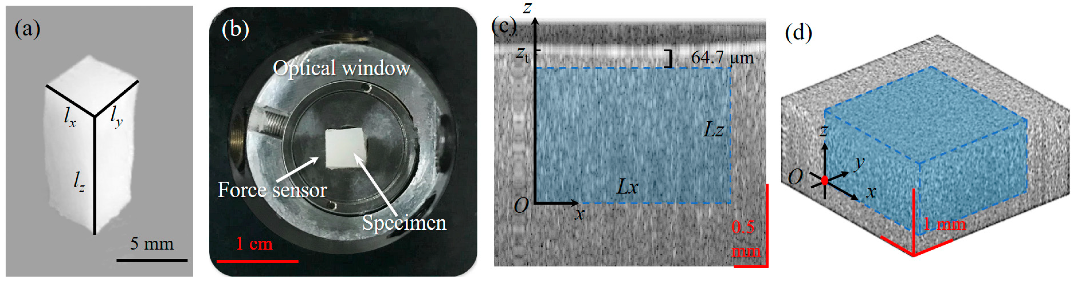 Applsci 09 01349 g003
