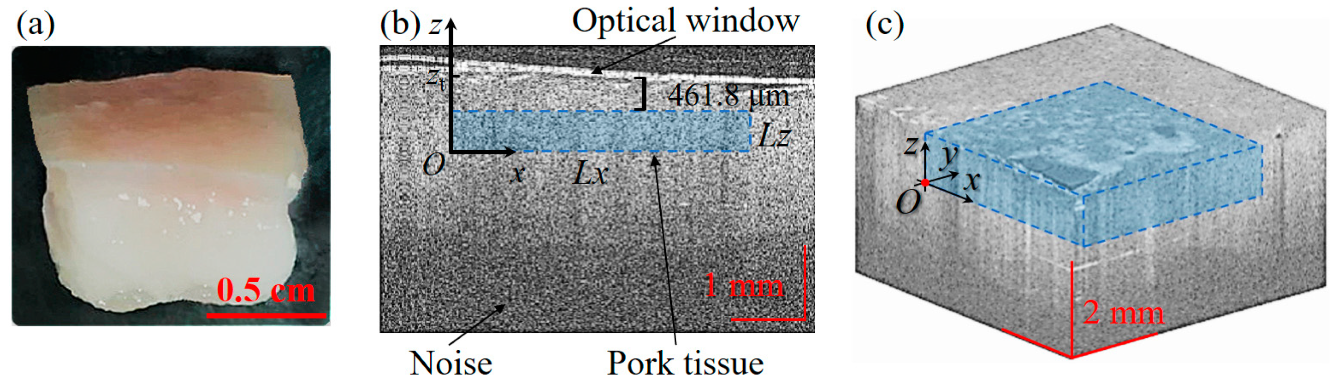 Applsci 09 01349 g008