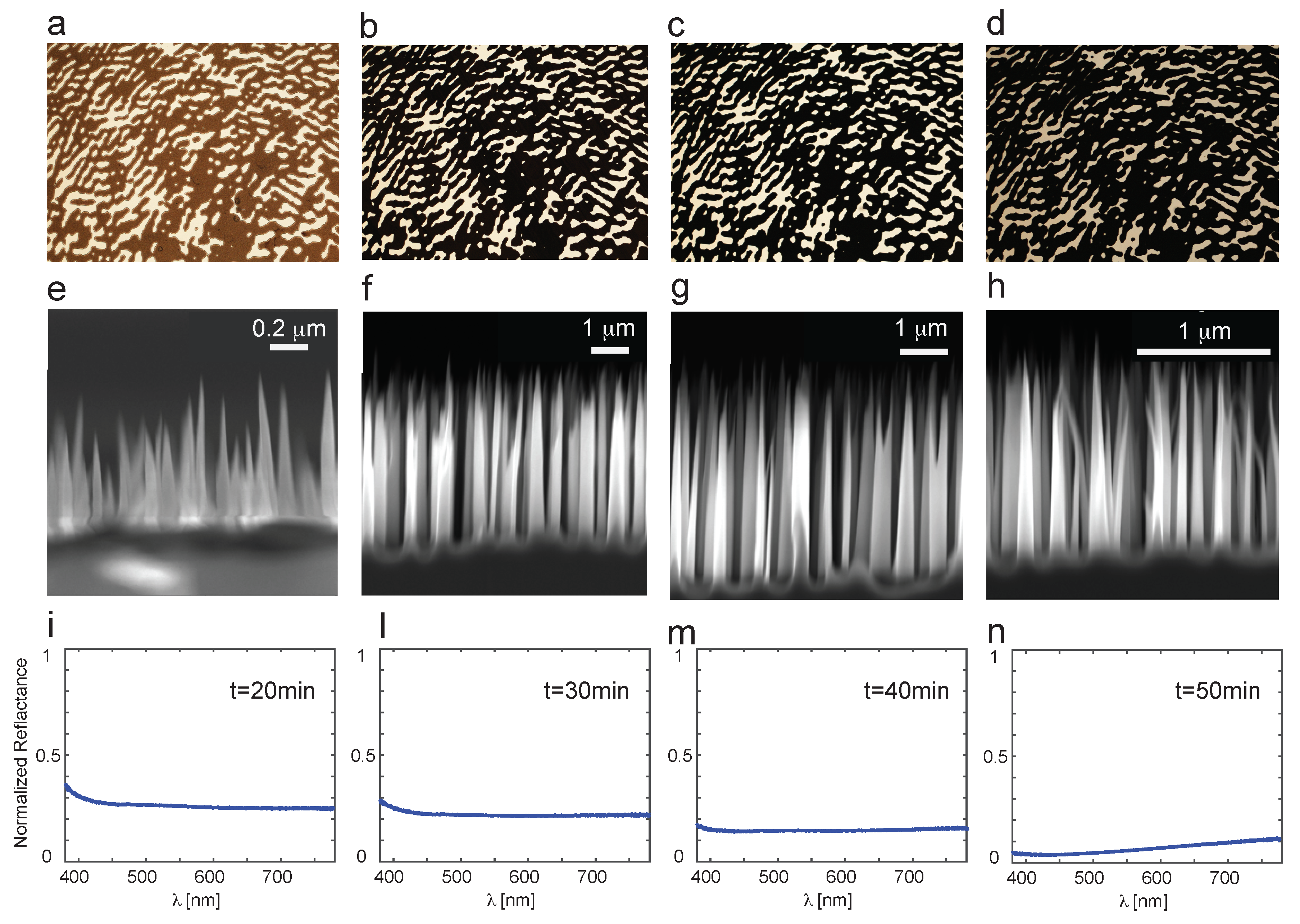 Applsci 09 01378 g002 550