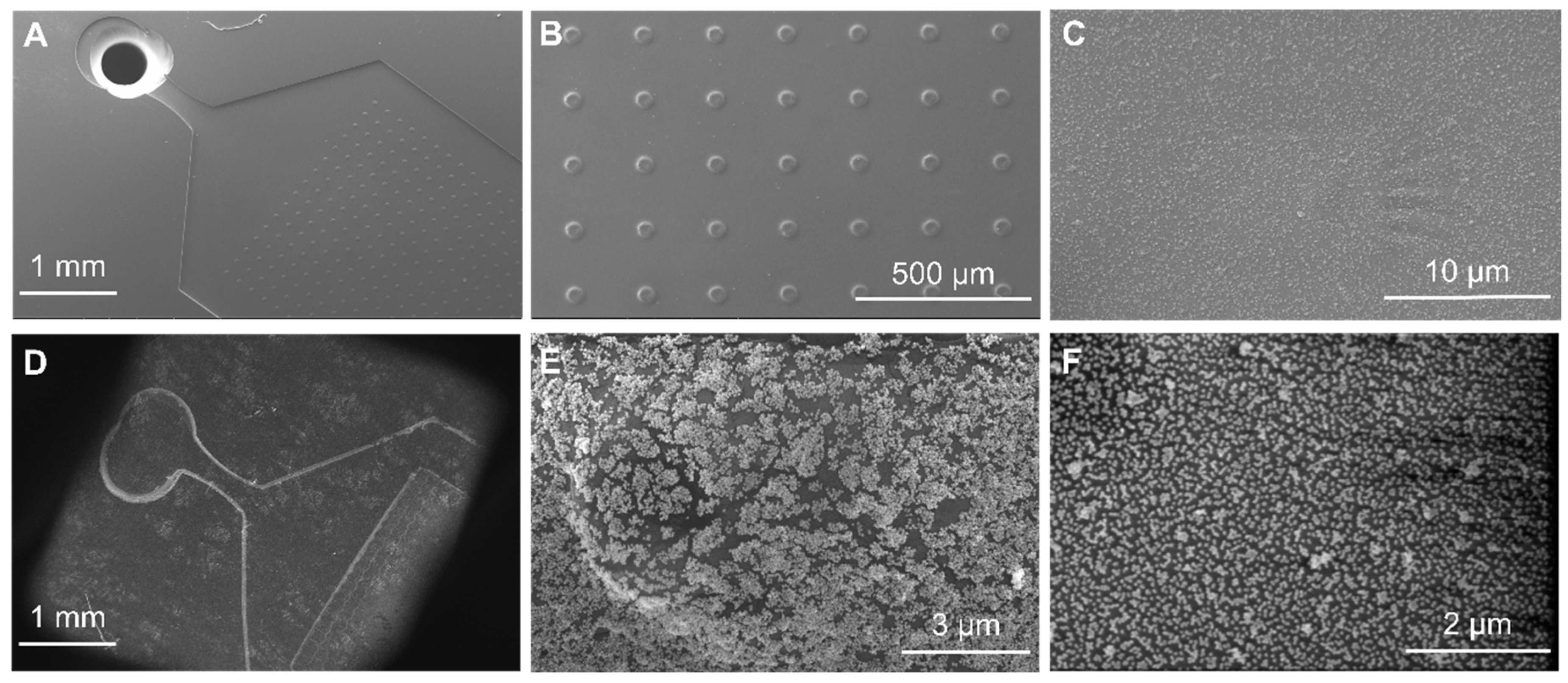 Applsci 09 01387 g004