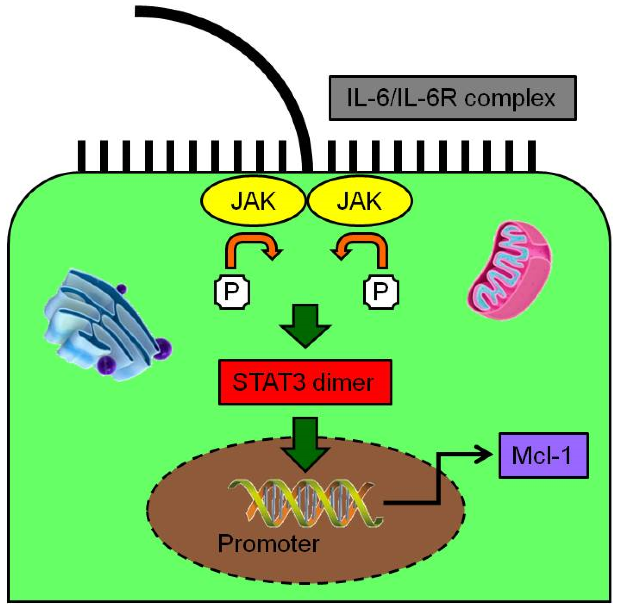 Applsci 09 01393 g002 Applsci 09 01393 g002