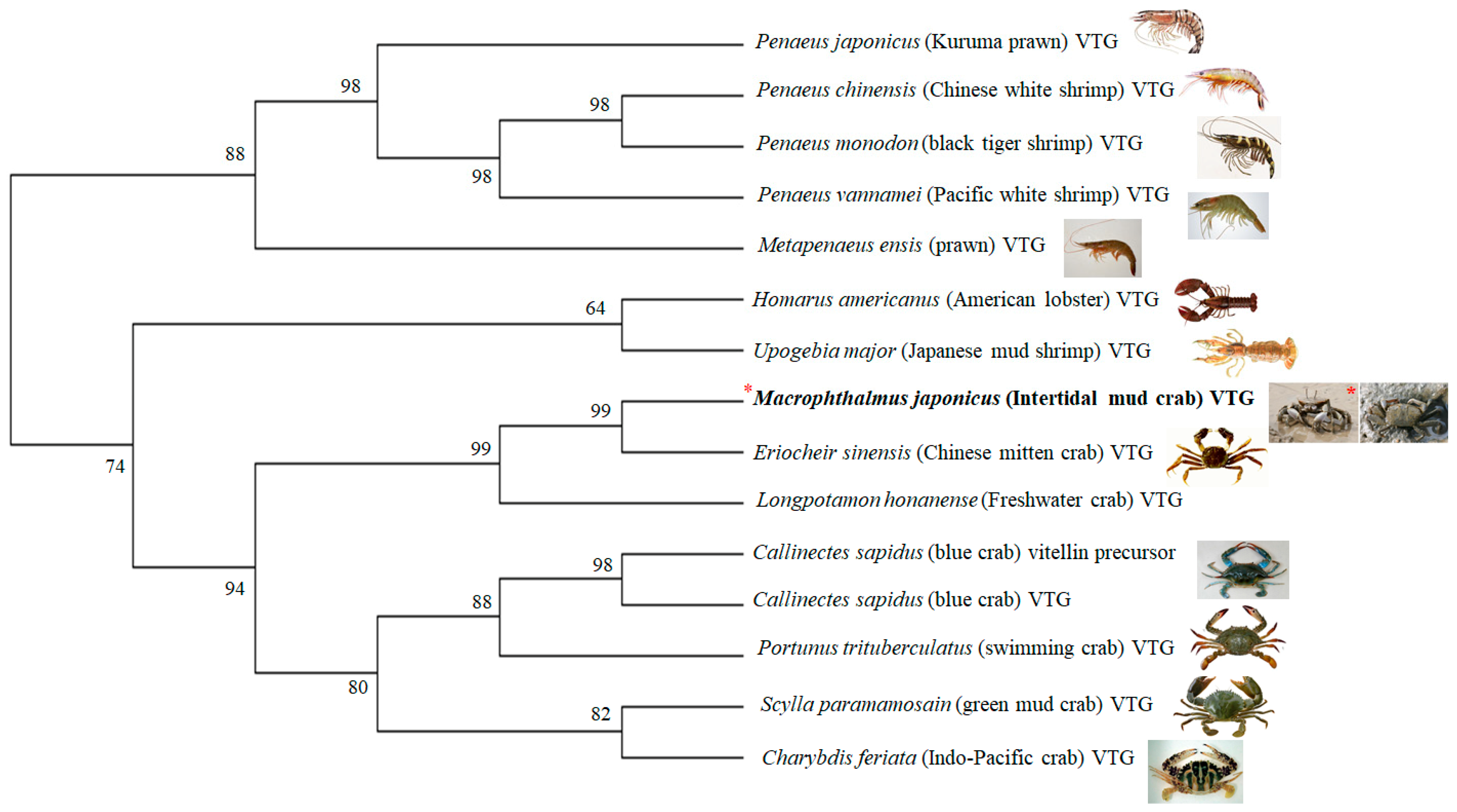Applsci 09 01401 g002 Applsci 09 01401 g002