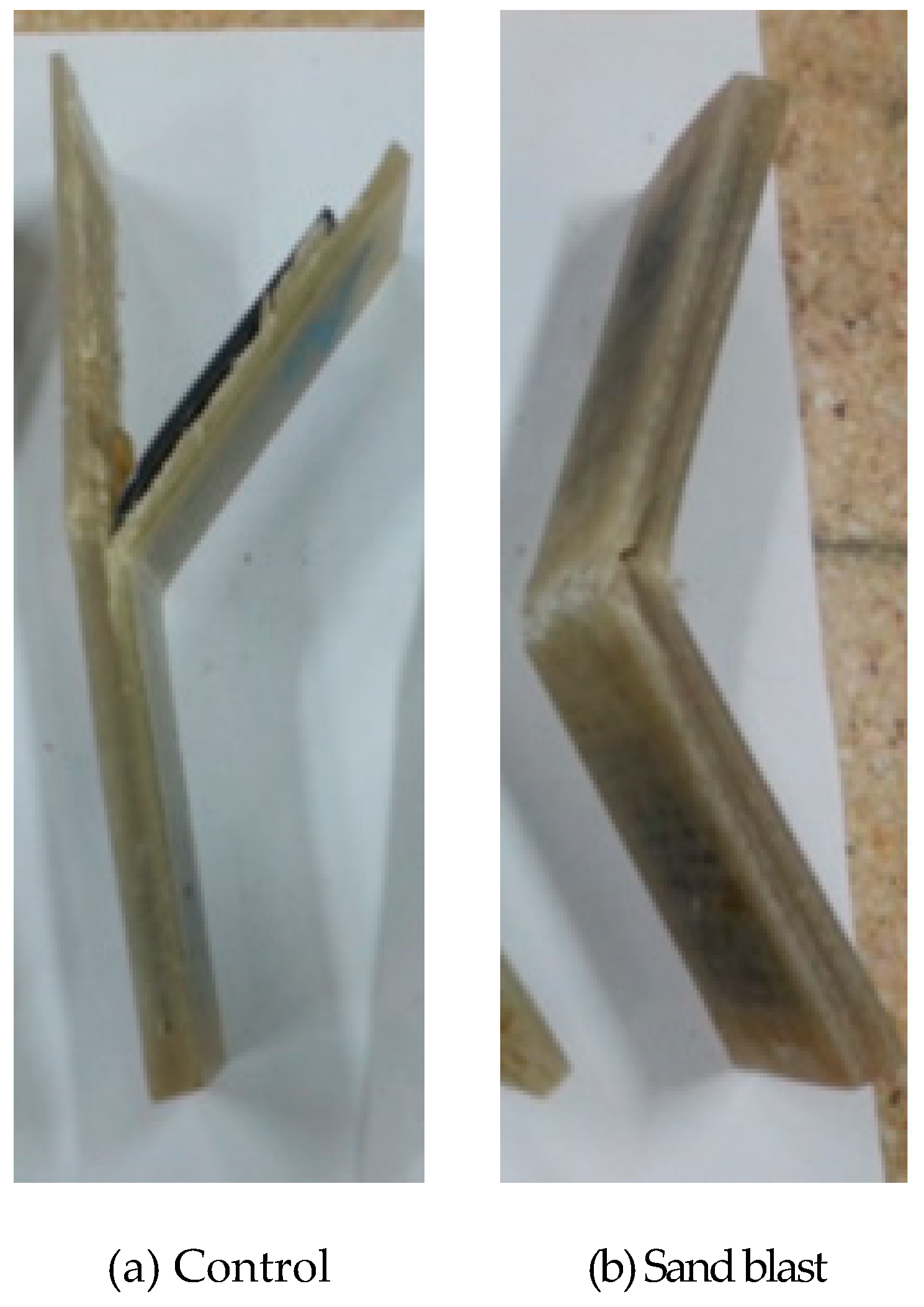 Applsci 09 01423 g006 Applsci 09 01423 g006