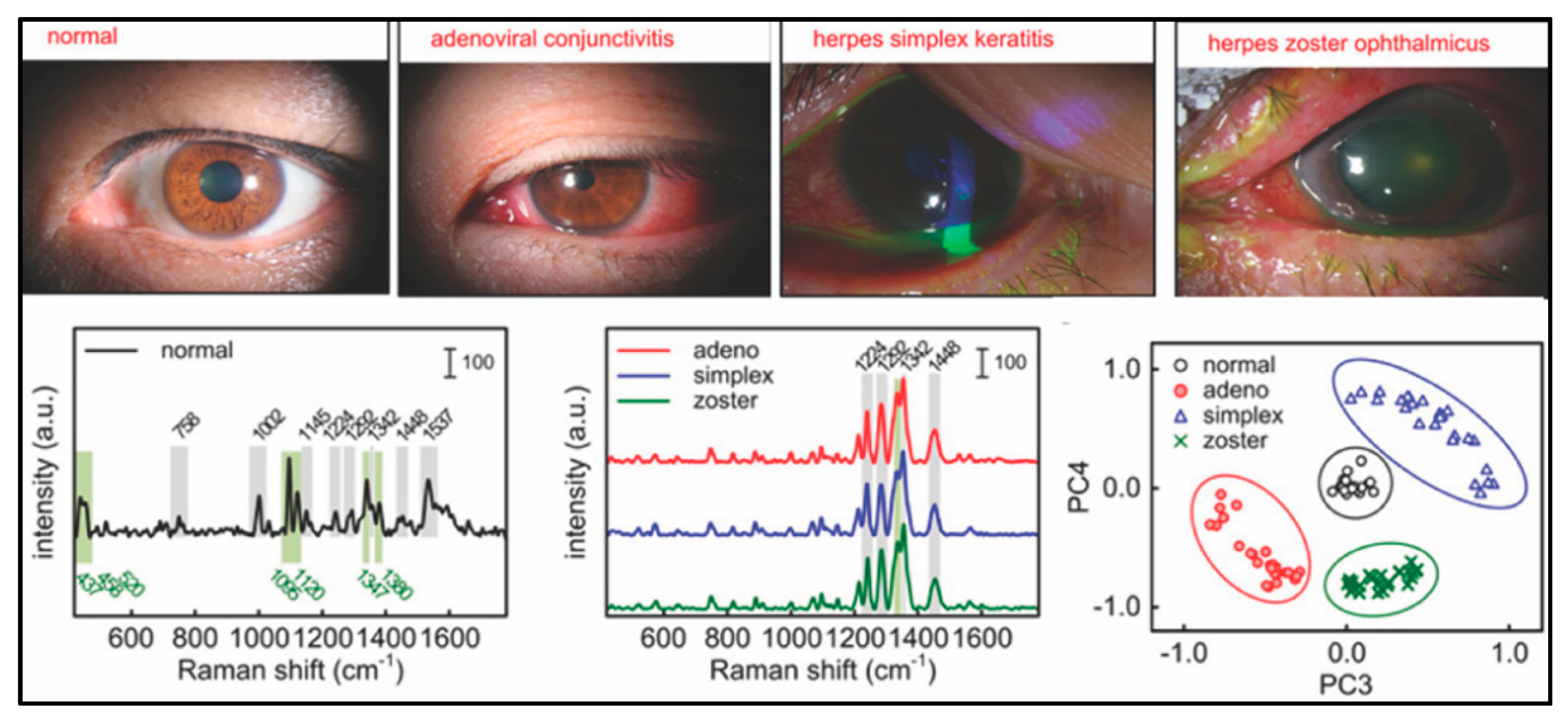 Applsci 09 01448 g002 Applsci 09 01448 g002