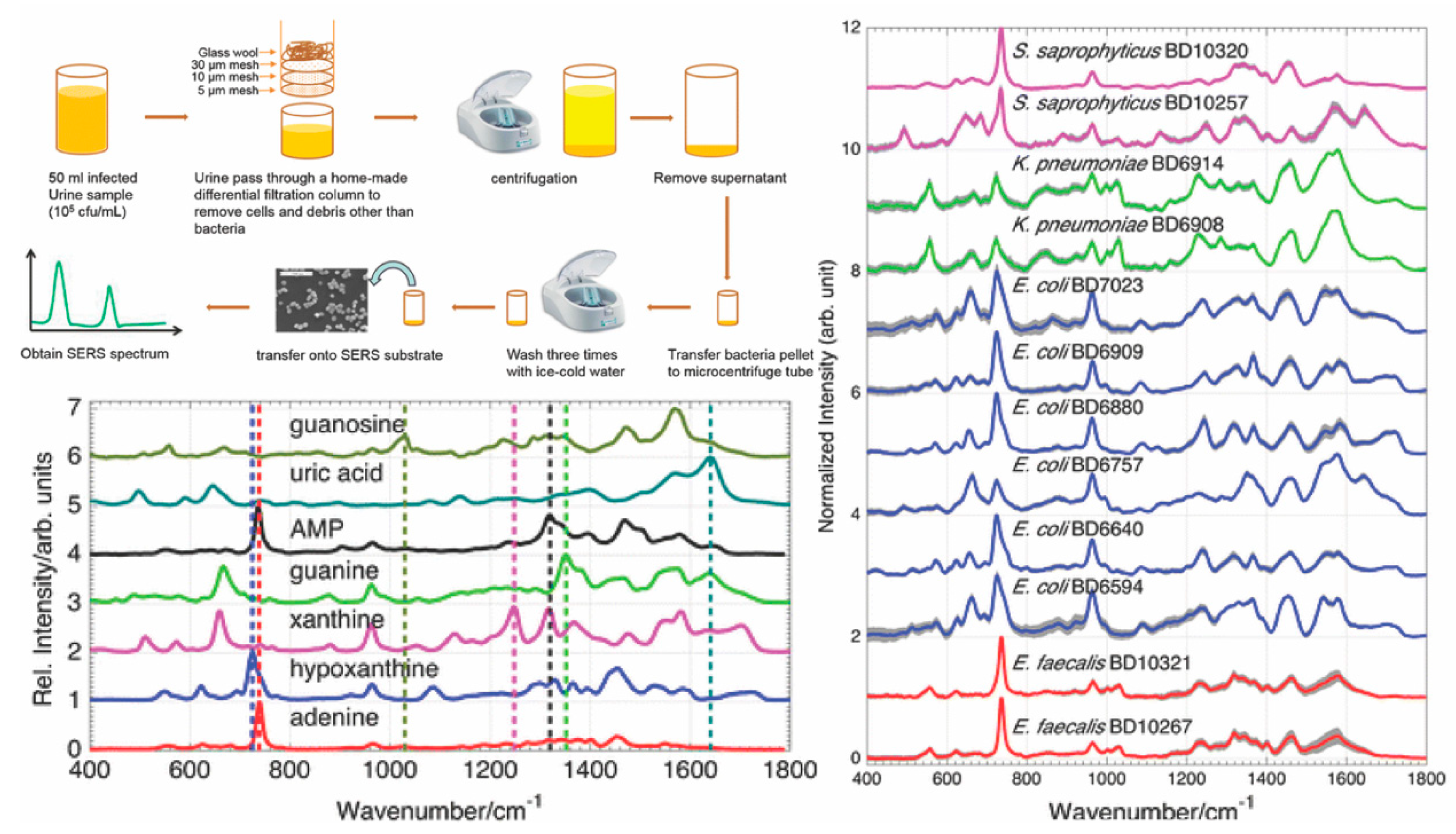 Applsci 09 01448 g003 Applsci 09 01448 g003