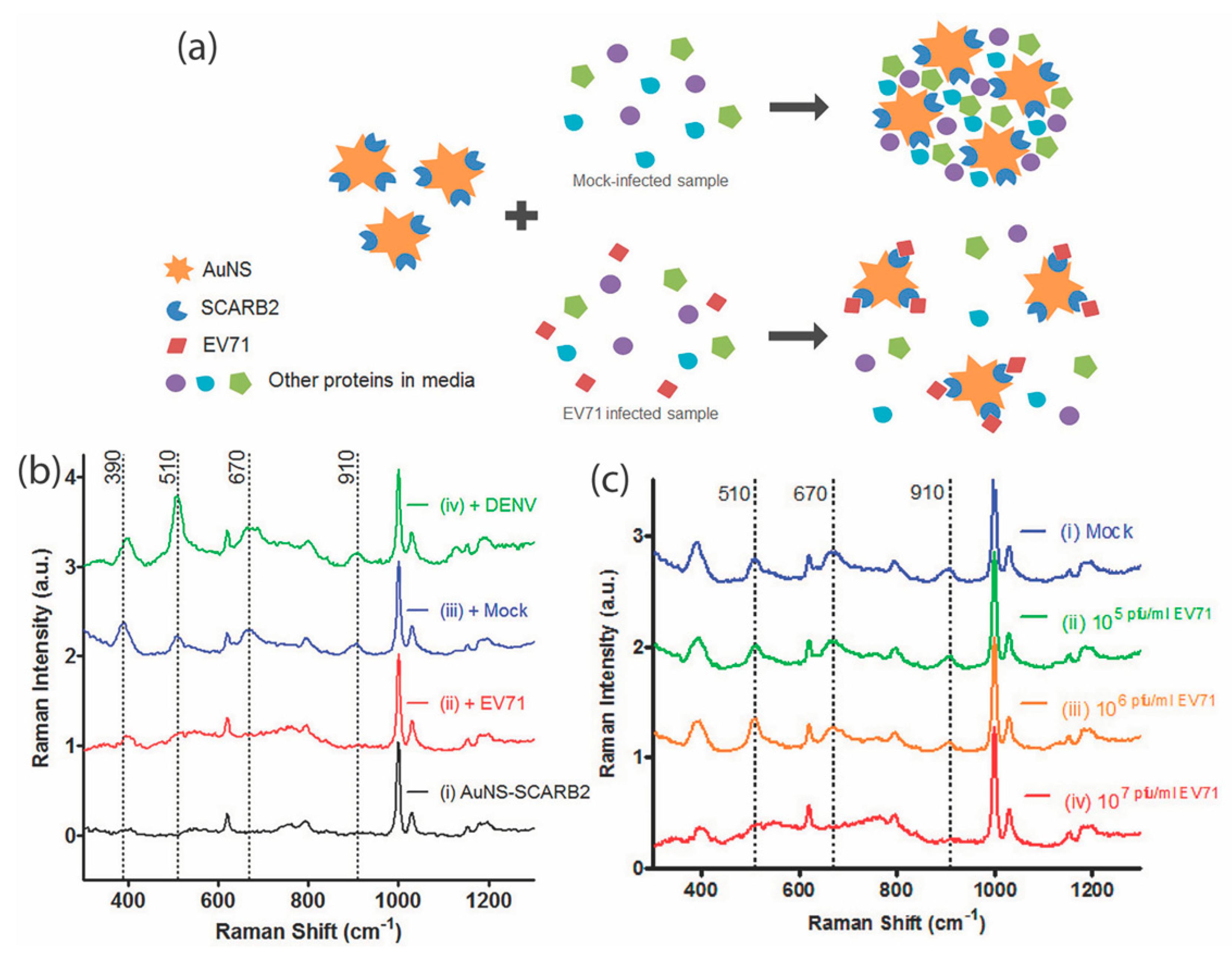 Applsci 09 01448 g005 Applsci 09 01448 g005