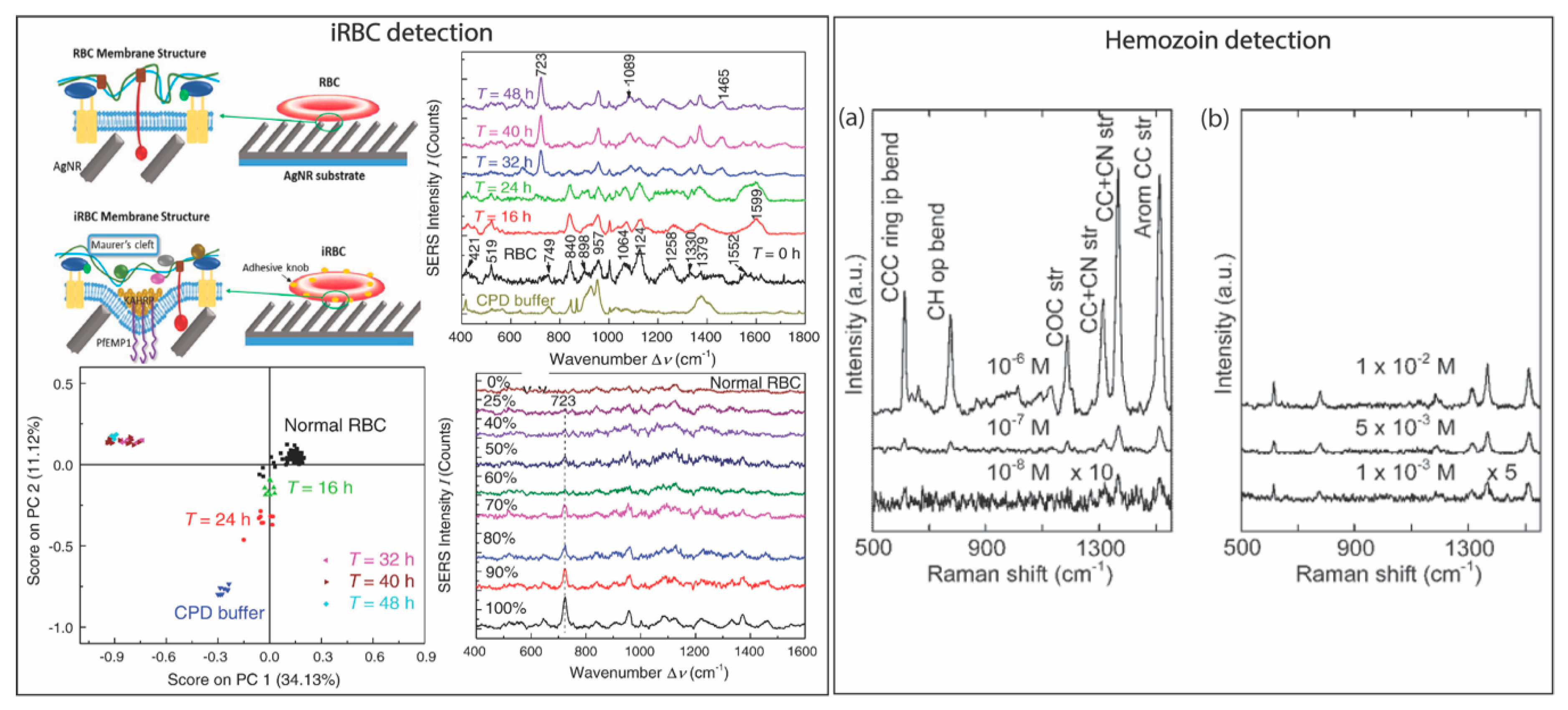 Applsci 09 01448 g007 Applsci 09 01448 g007