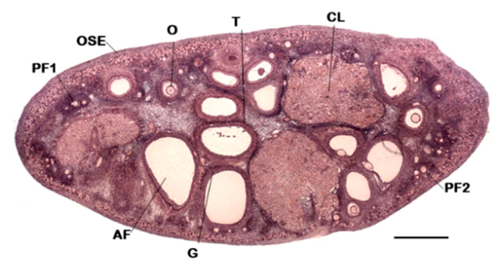 Applsci 09 01536 g001 Applsci 09 01536 g001