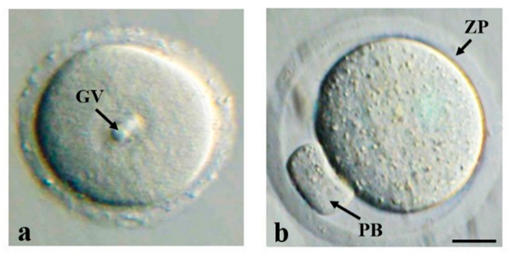 Applsci 09 01536 g002 Applsci 09 01536 g002