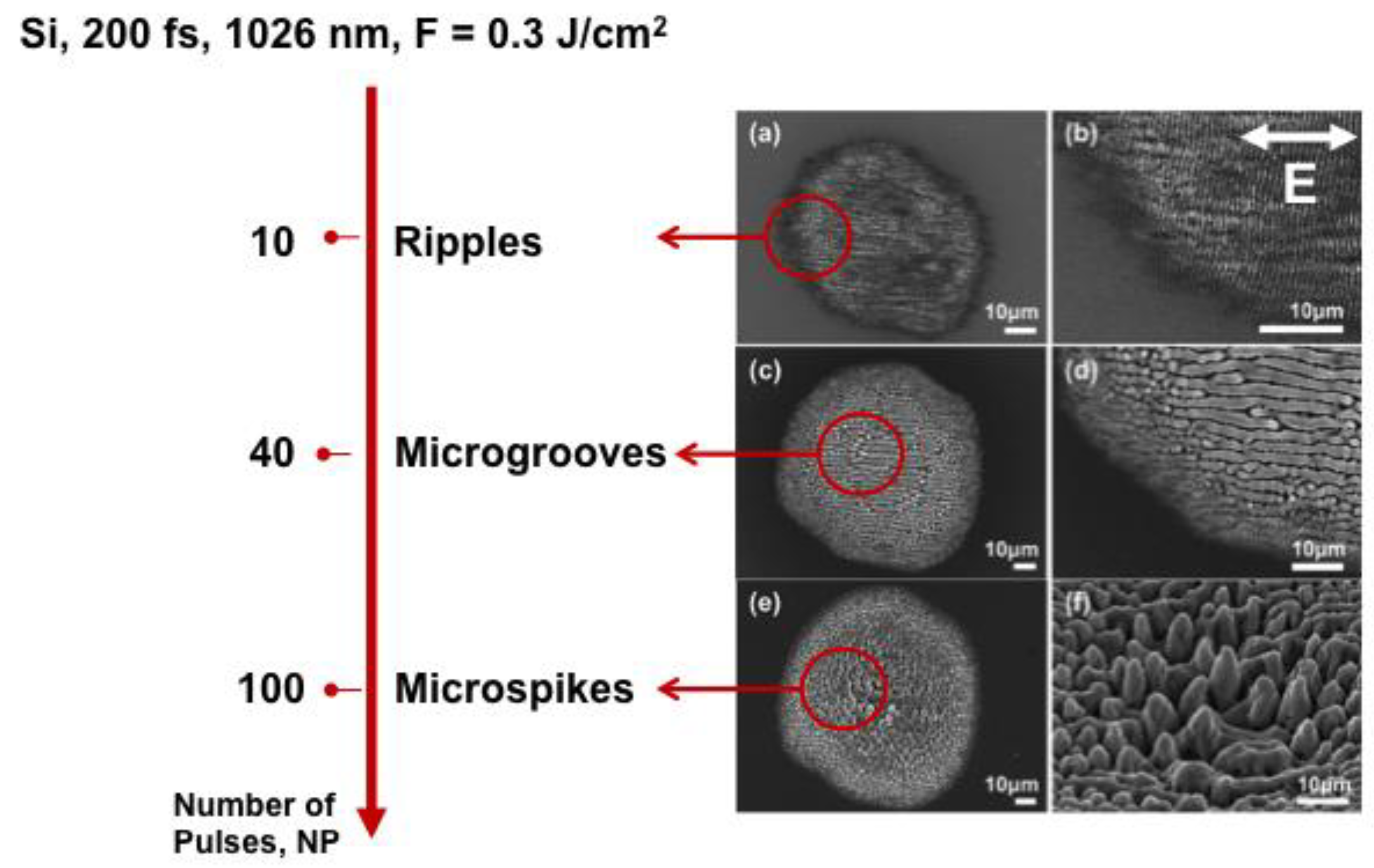 Applsci 09 01554 g003 550