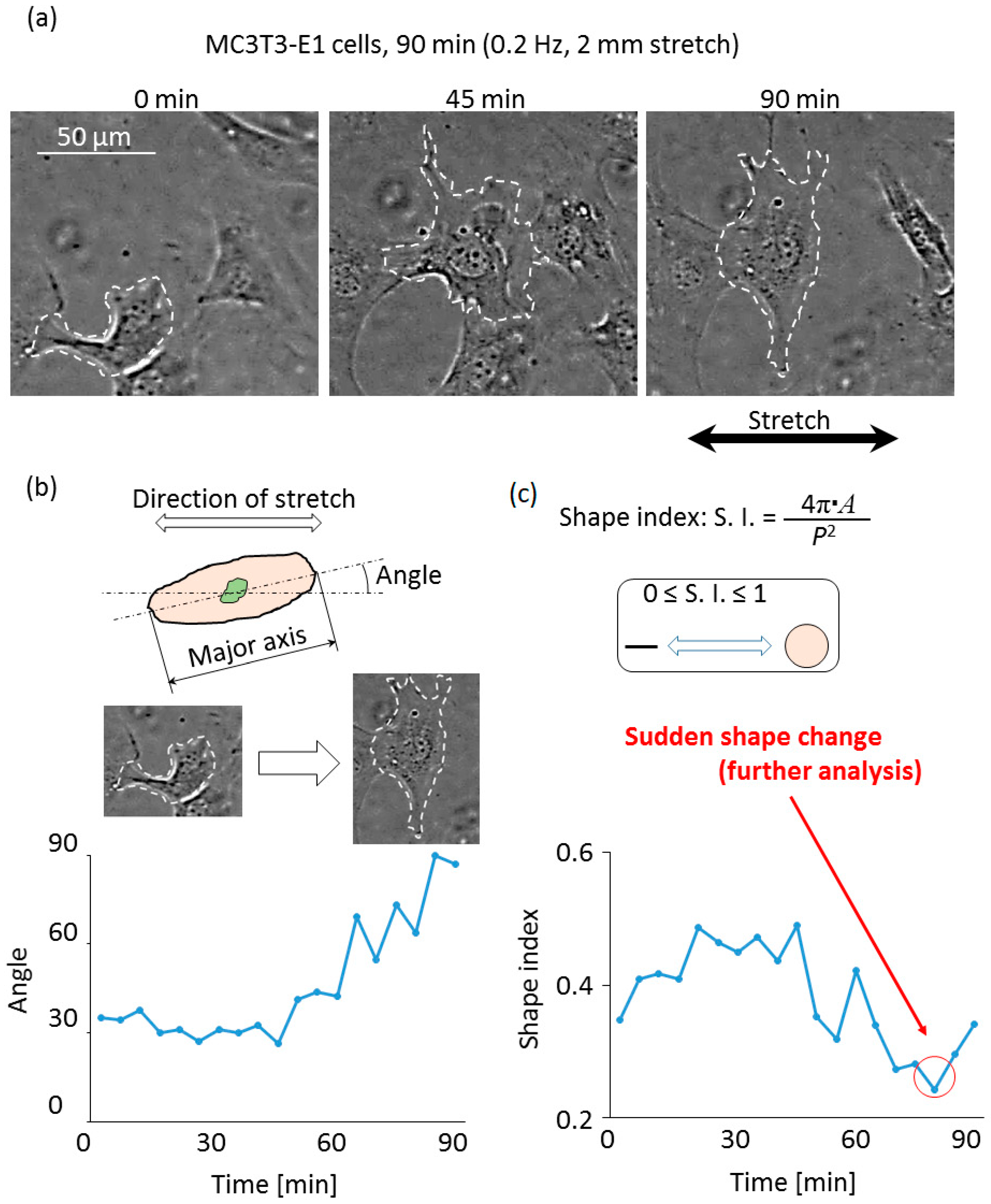 Applsci 09 01560 g011
