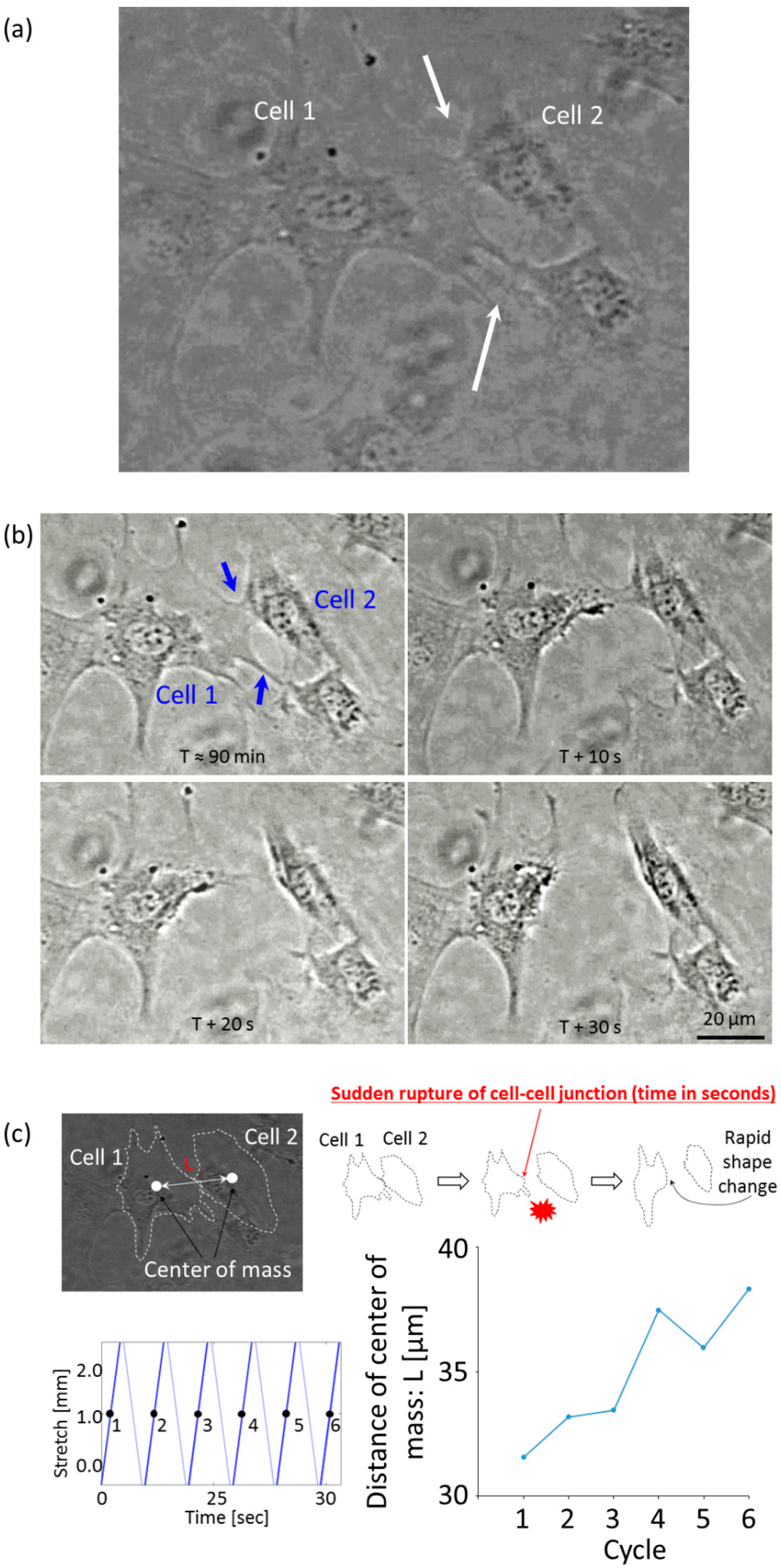 Applsci 09 01560 g012