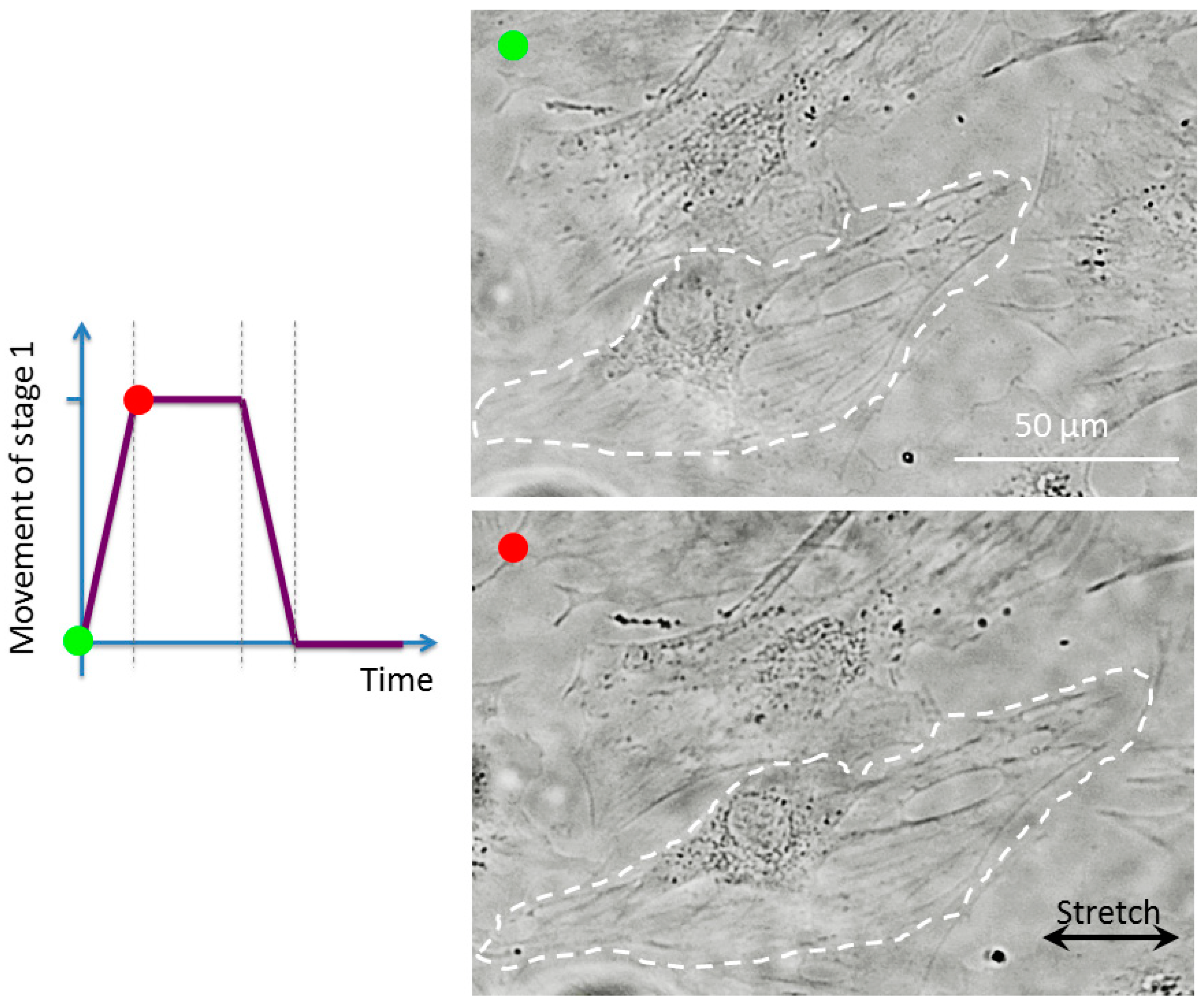 Applsci 09 01560 g013