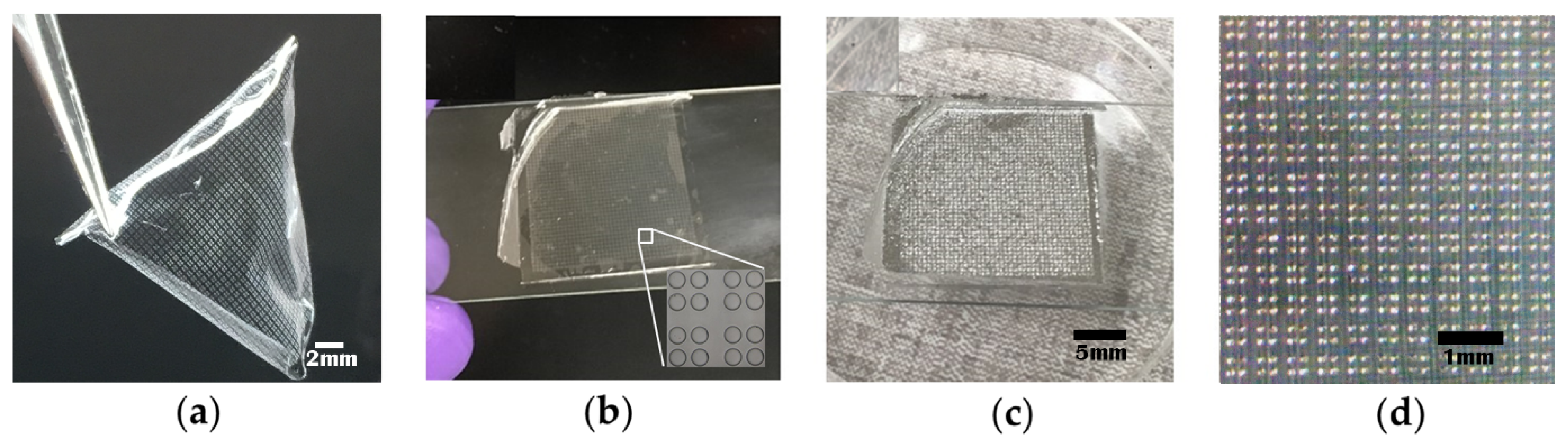 Applsci 09 01565 g007