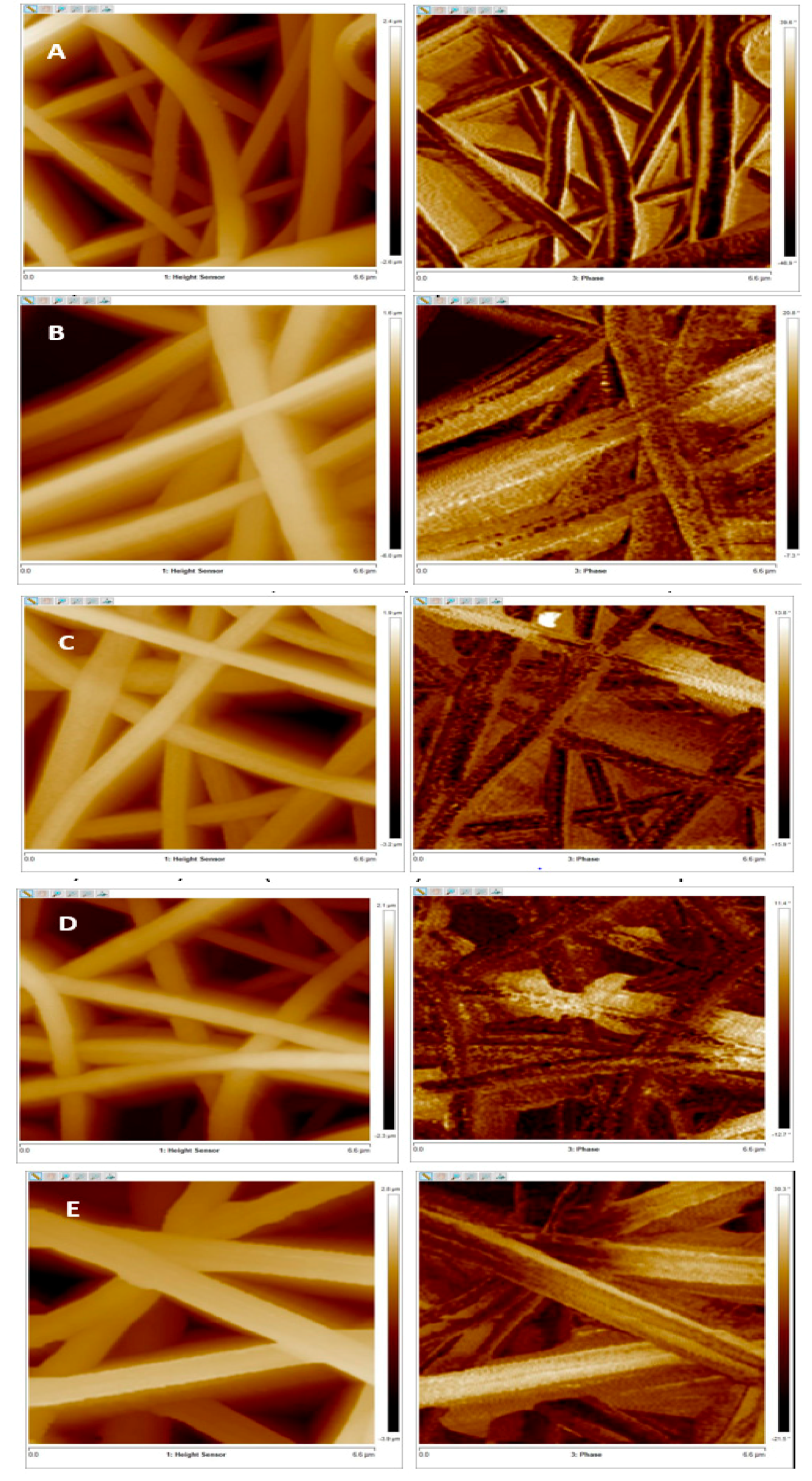 Applsci 09 01583 g006