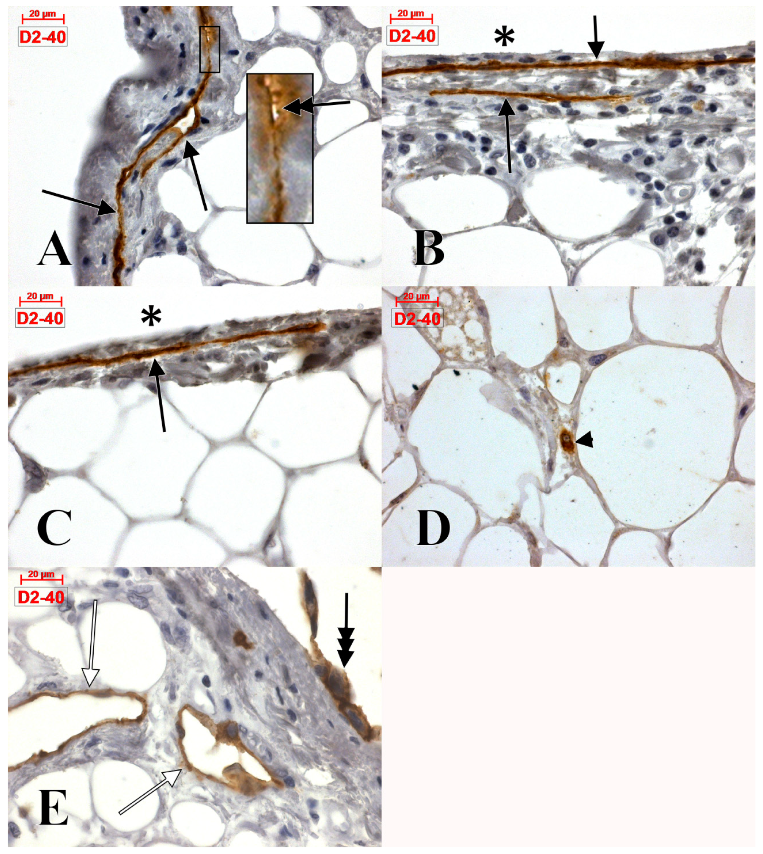 Applsci 09 01615 g001