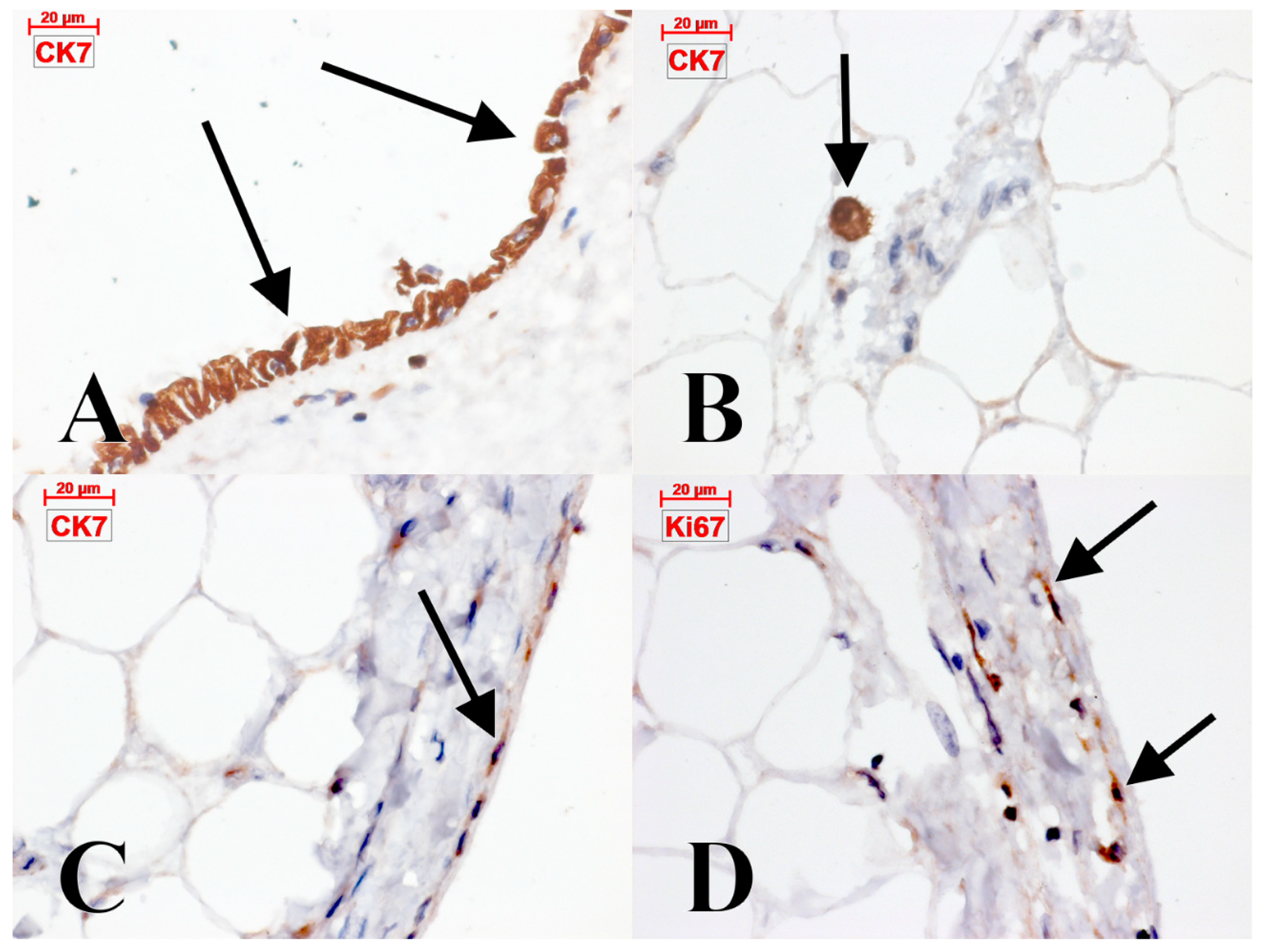 Applsci 09 01615 g002