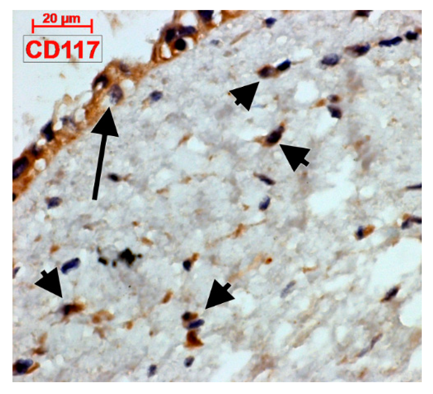 Applsci 09 01615 g003