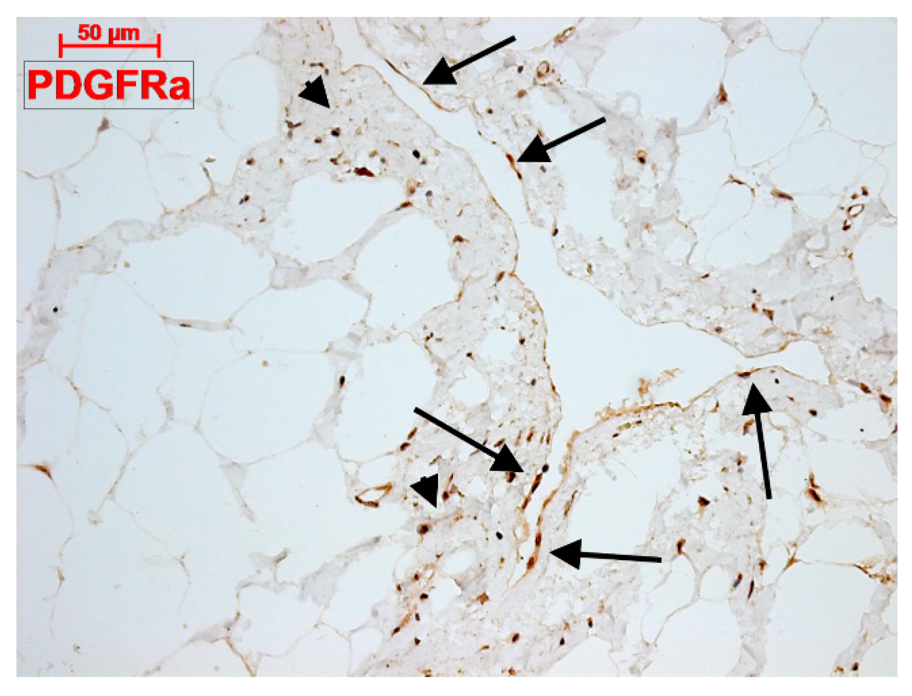 Applsci 09 01615 g004