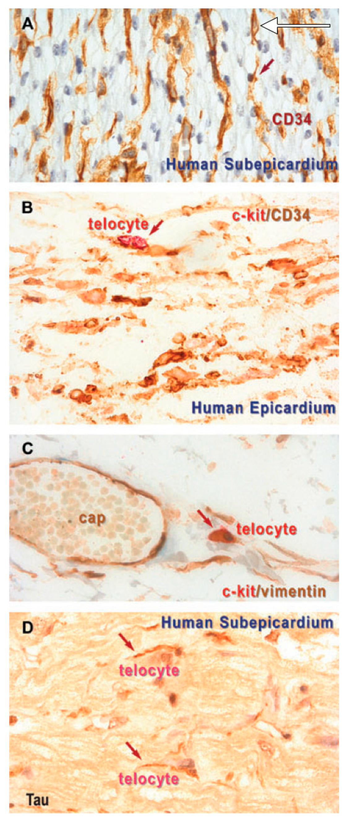 Applsci 09 01615 g006