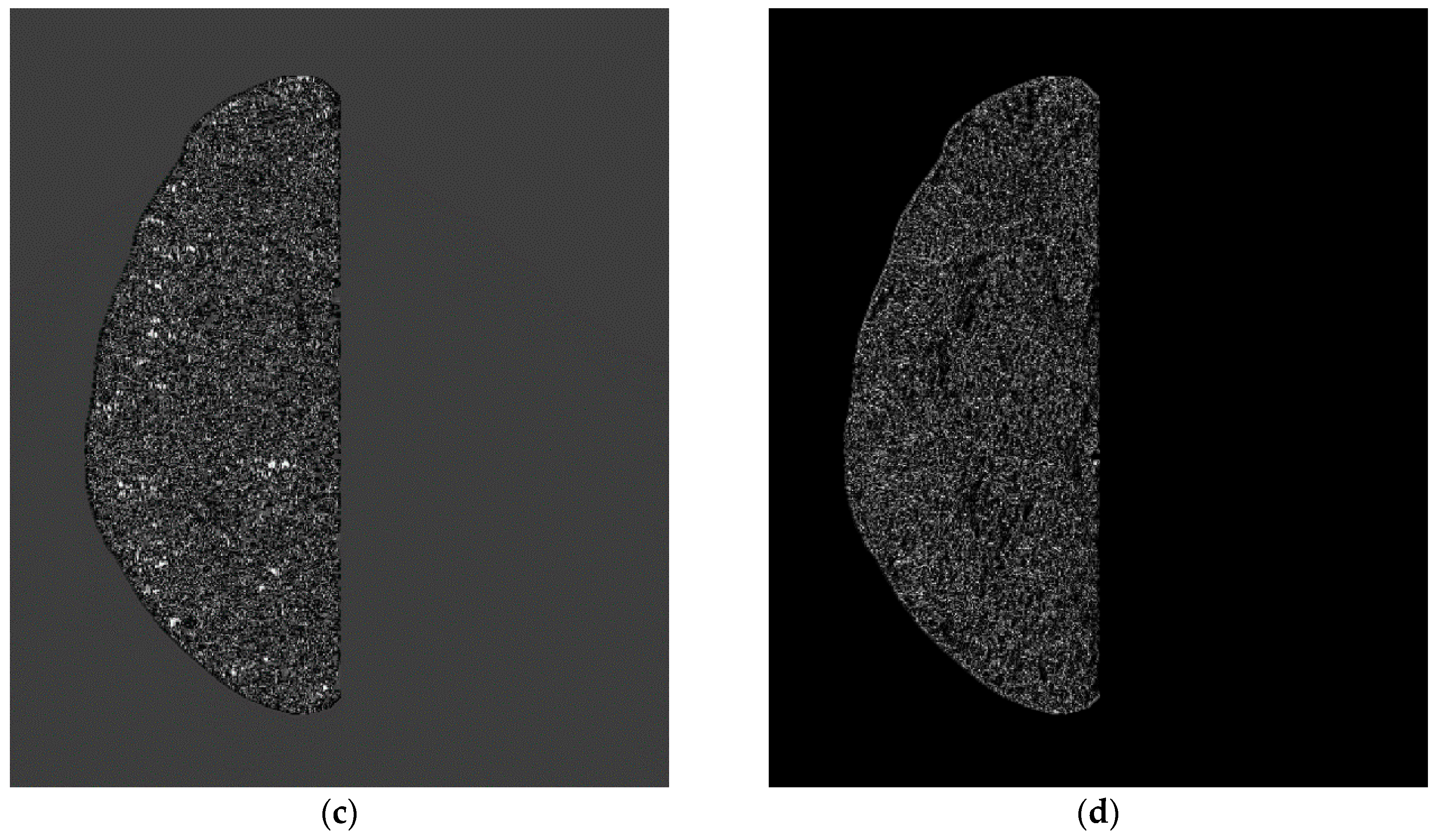 Applsci 09 01668 g003b Applsci 09 01668 g003b