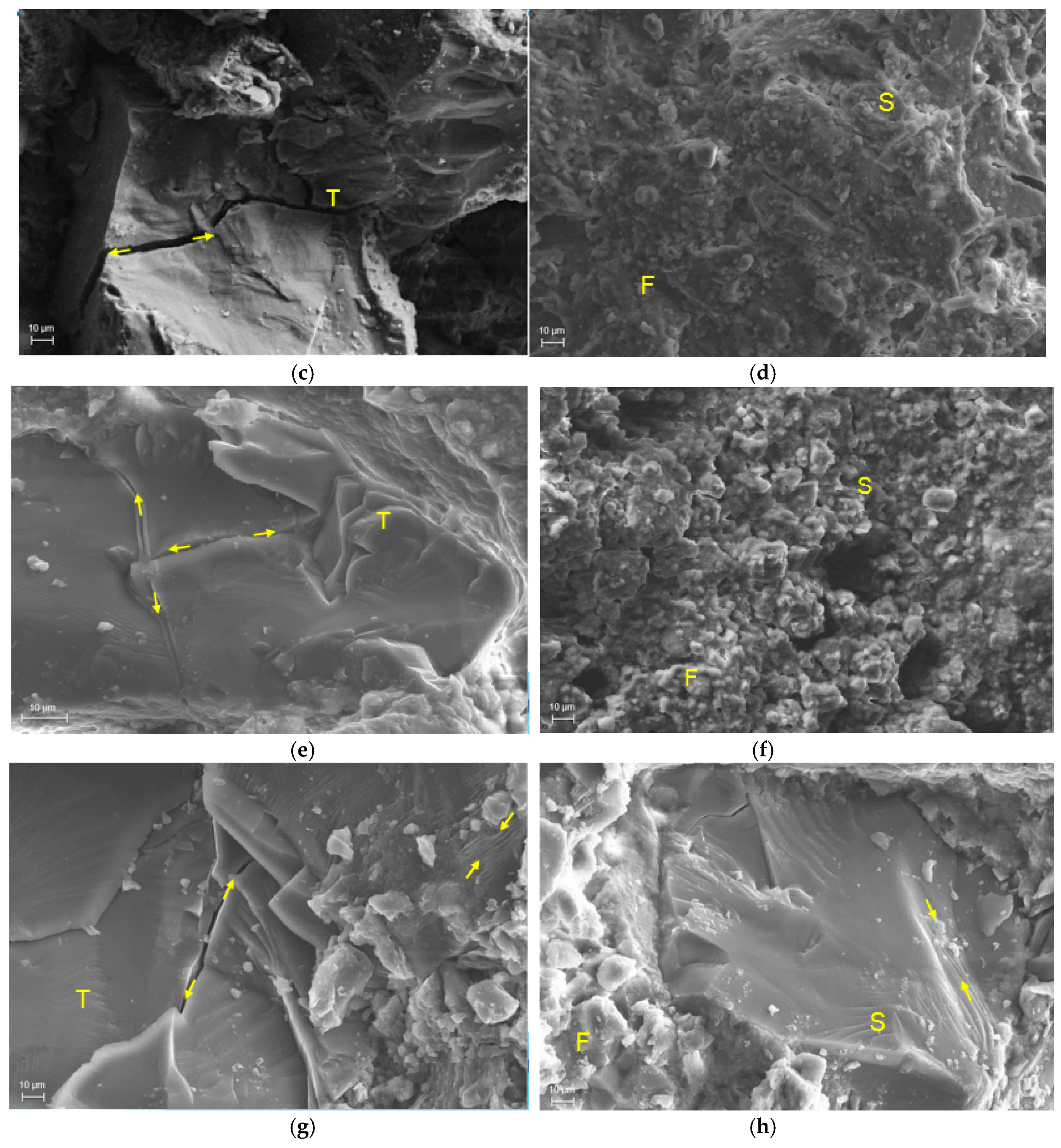 Applsci 09 01689 g008b Applsci 09 01689 g008b