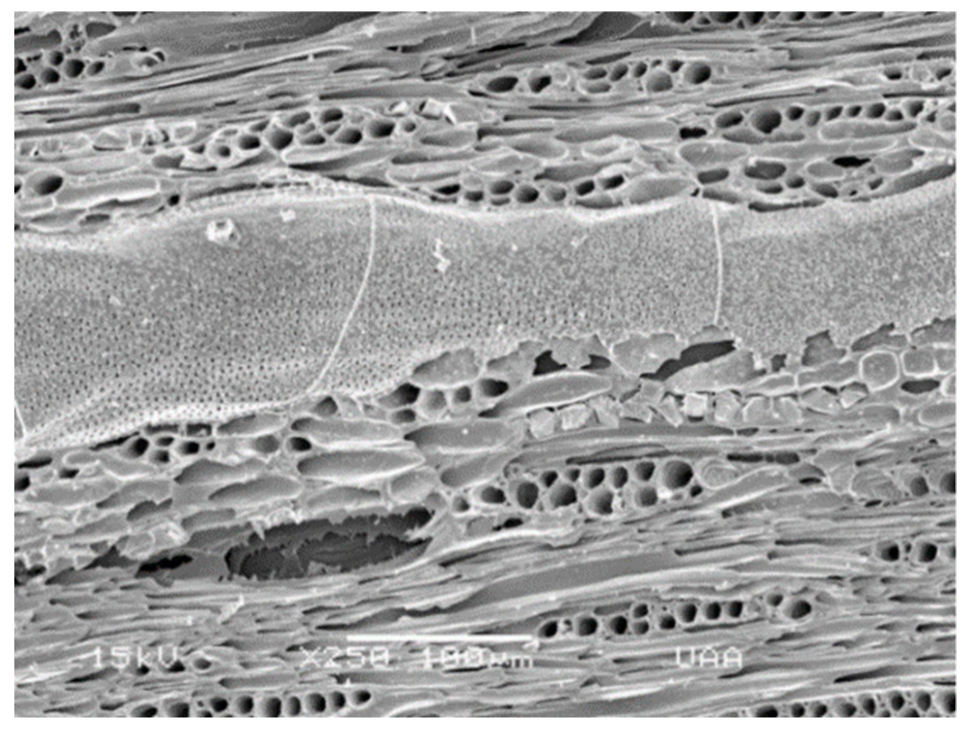 Applsci 09 01706 g002