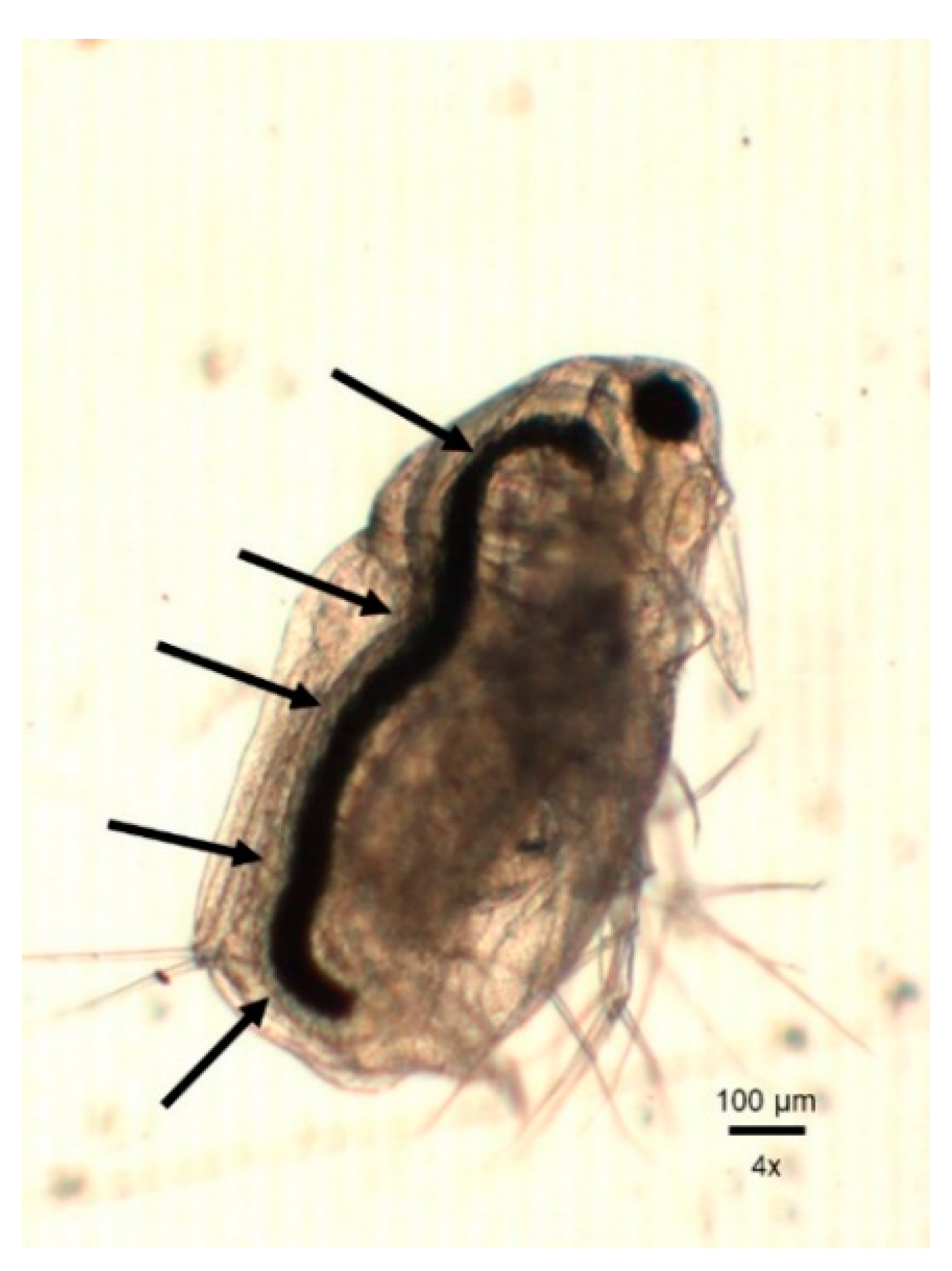 Applsci 09 01706 g005