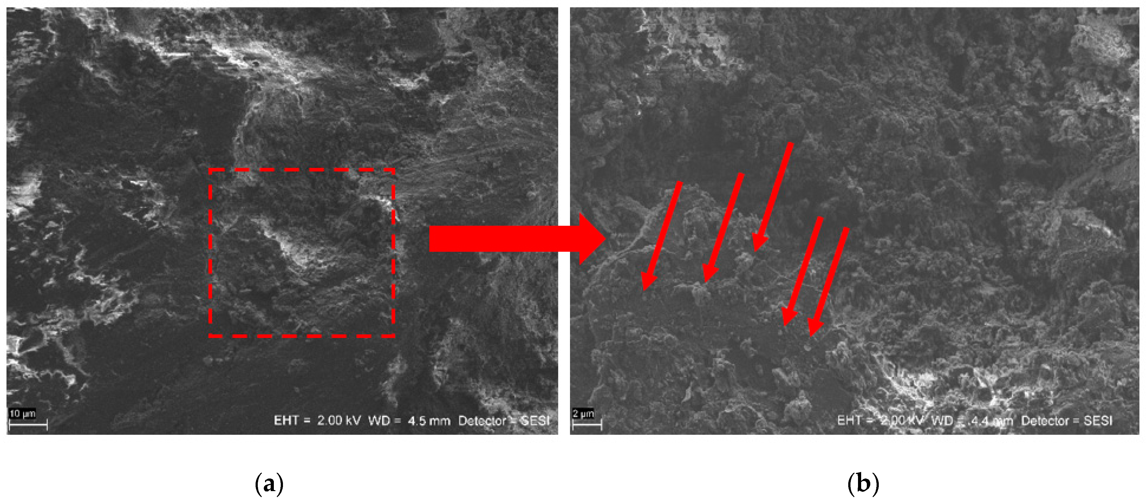 Applsci 09 01735 g008
