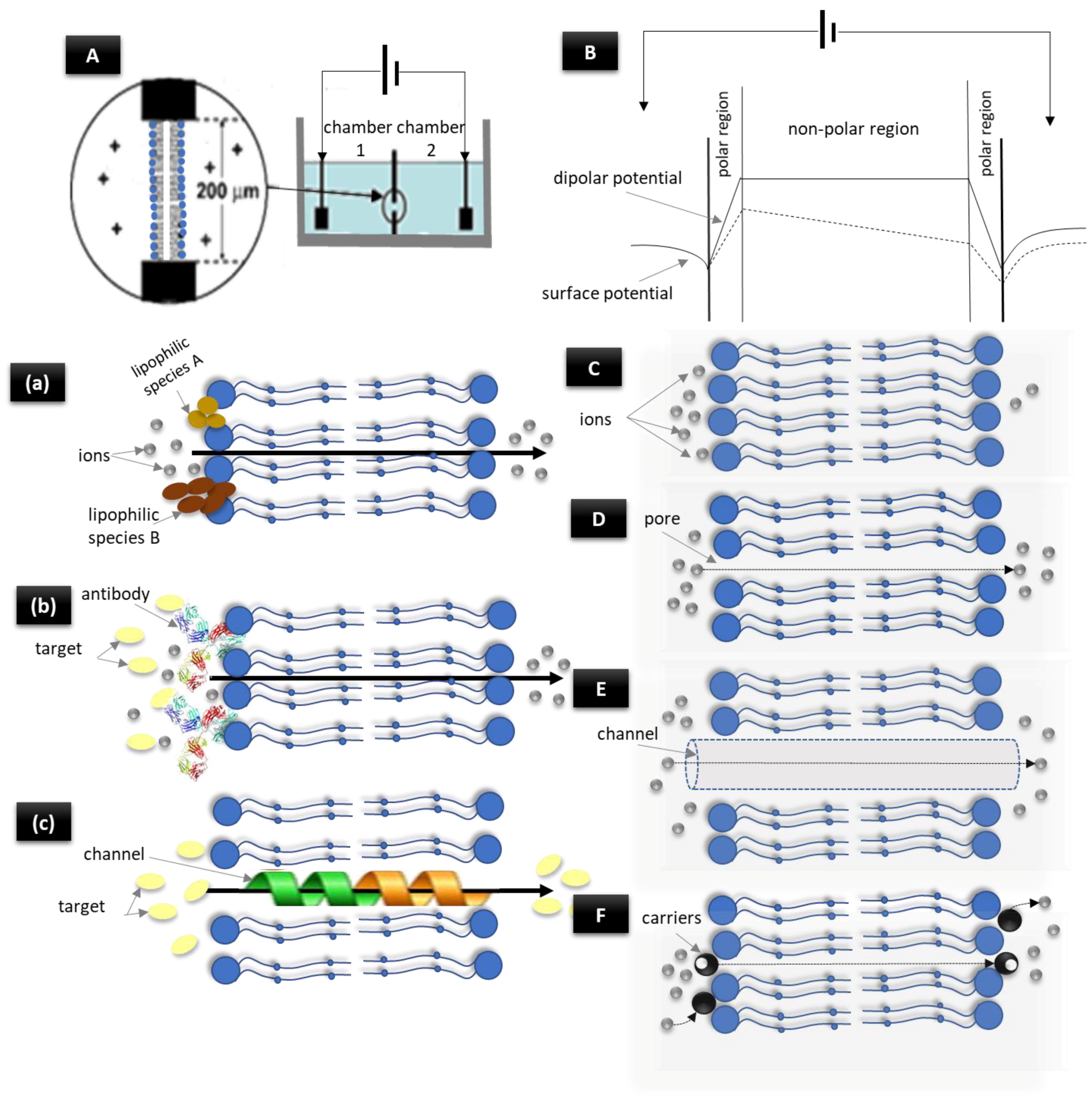 Applsci 09 01745 g003 Applsci 09 01745 g003